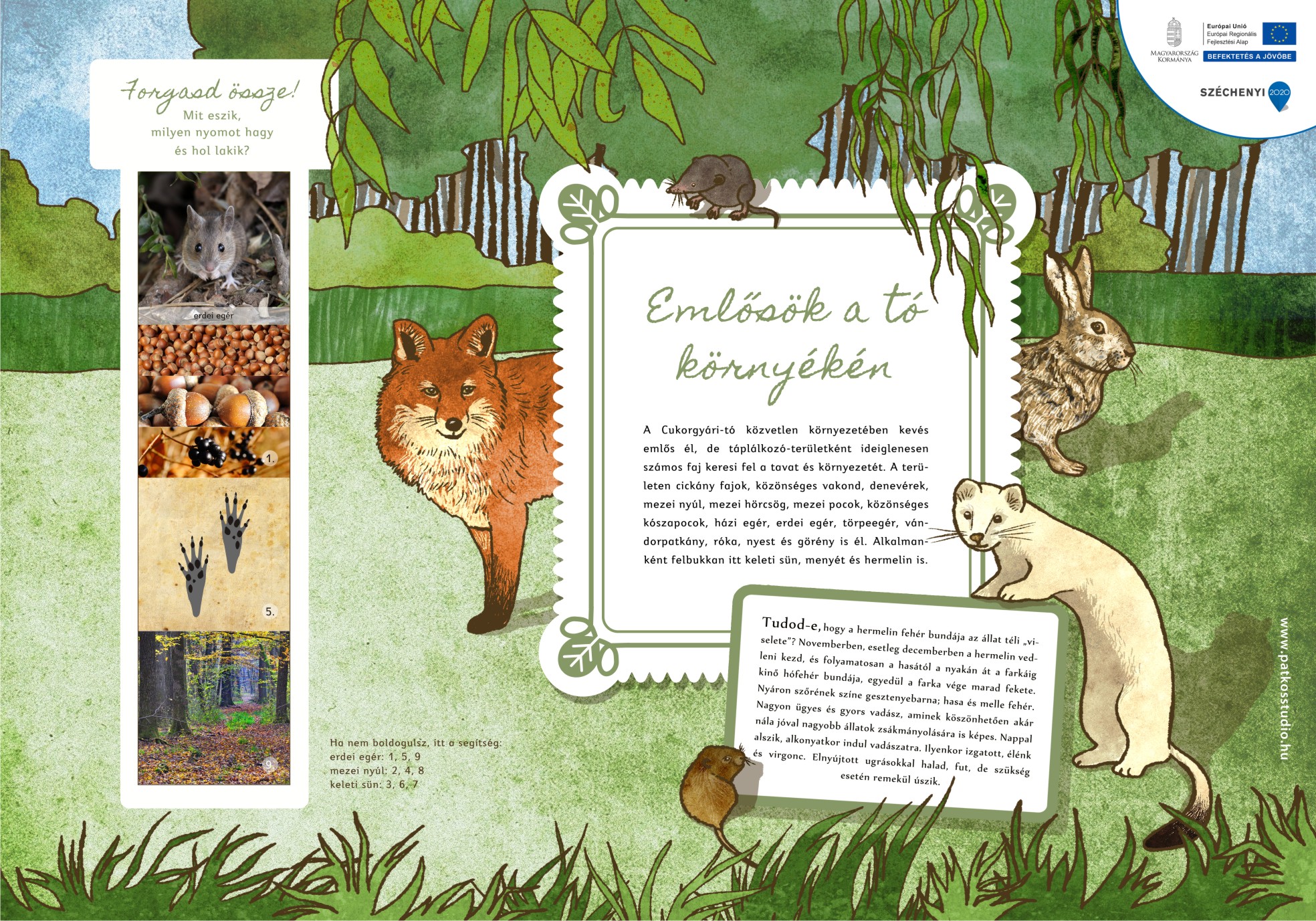 Cukorgyári-tó tanösvény, Hatvan