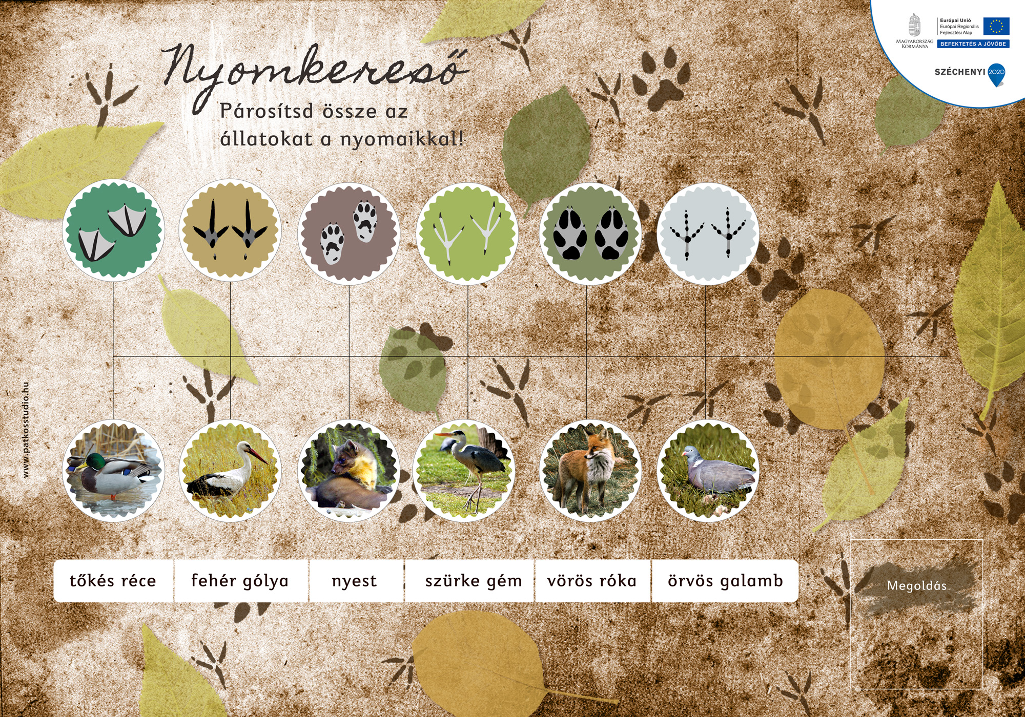 Cukorgyári-tó tanösvény, Hatvan