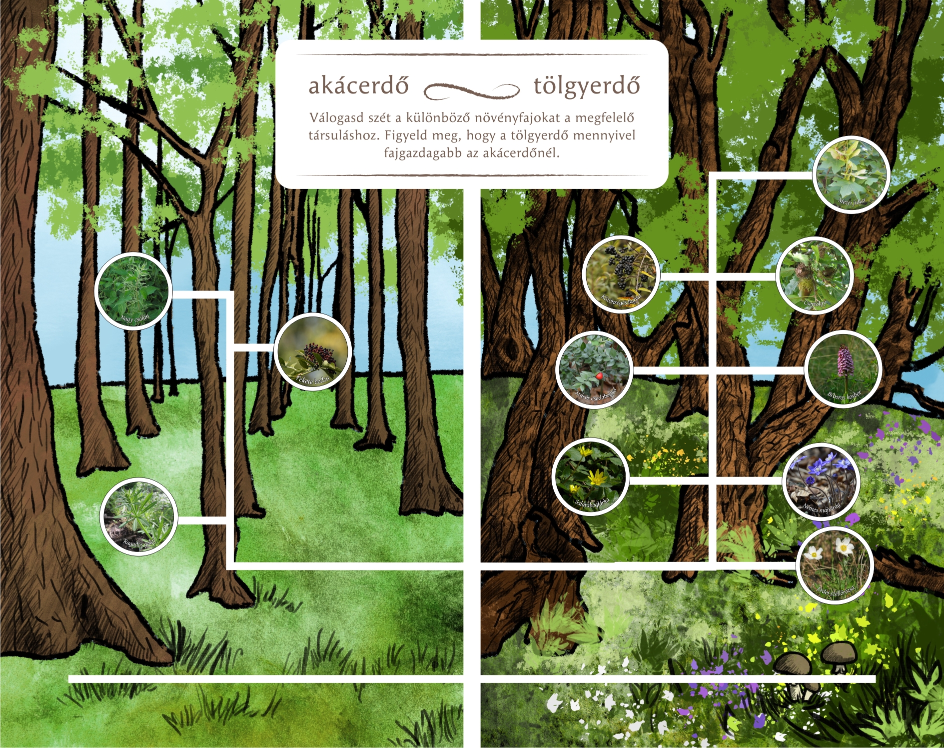 Tanösvénytáblák és játékok a Tolnai-hegyháton