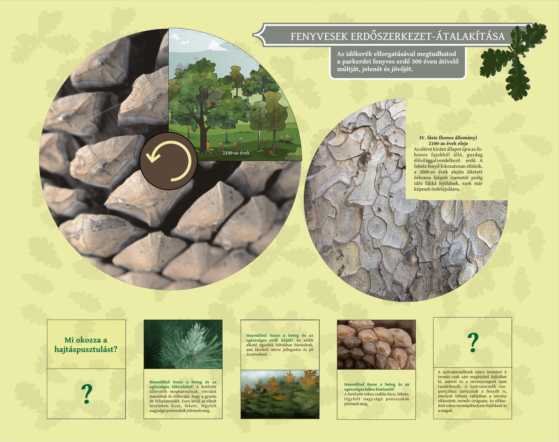 Tanösvénytáblák és játékok a Tolnai-hegyháton