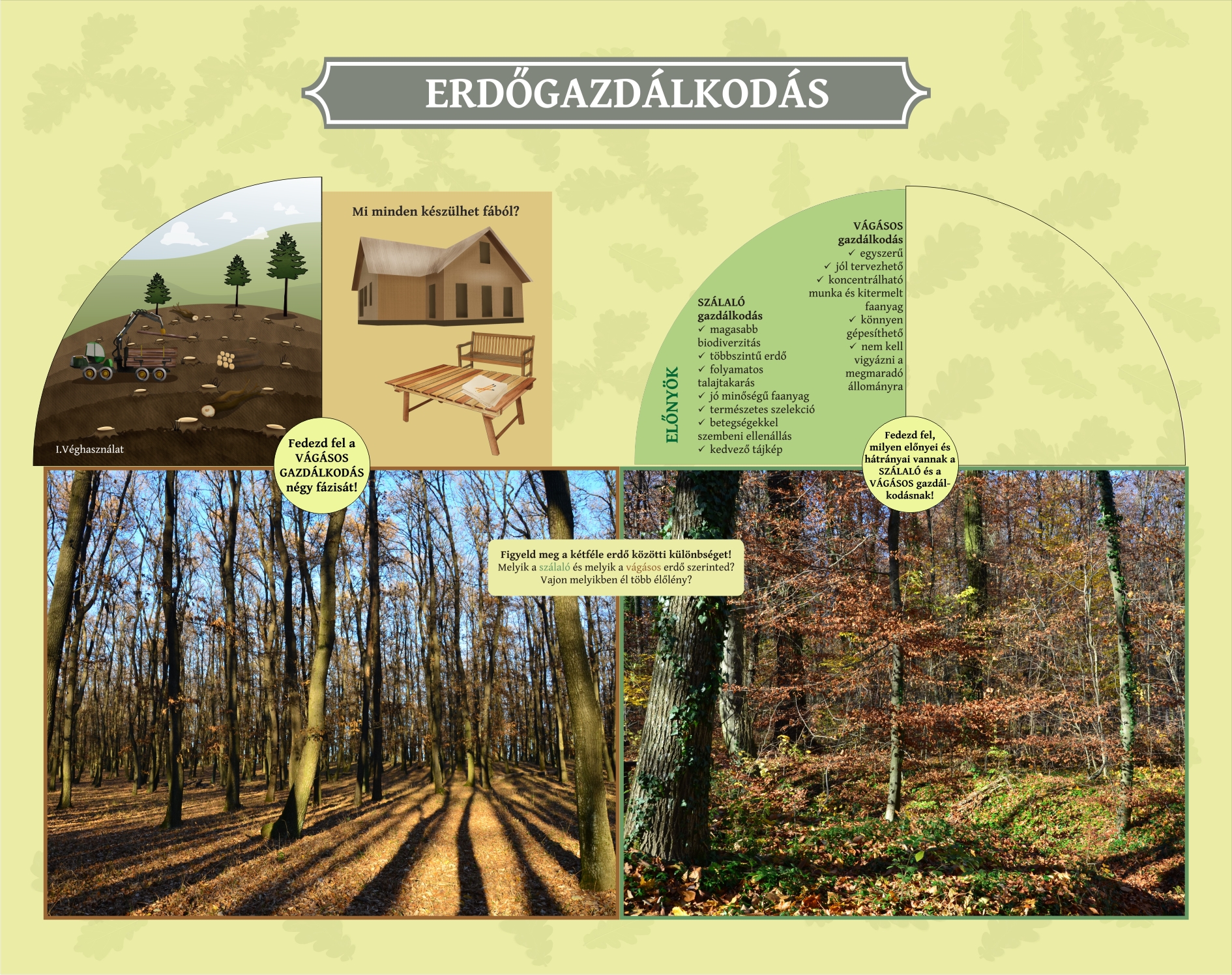 Tanösvénytáblák és játékok a Tolnai-hegyháton