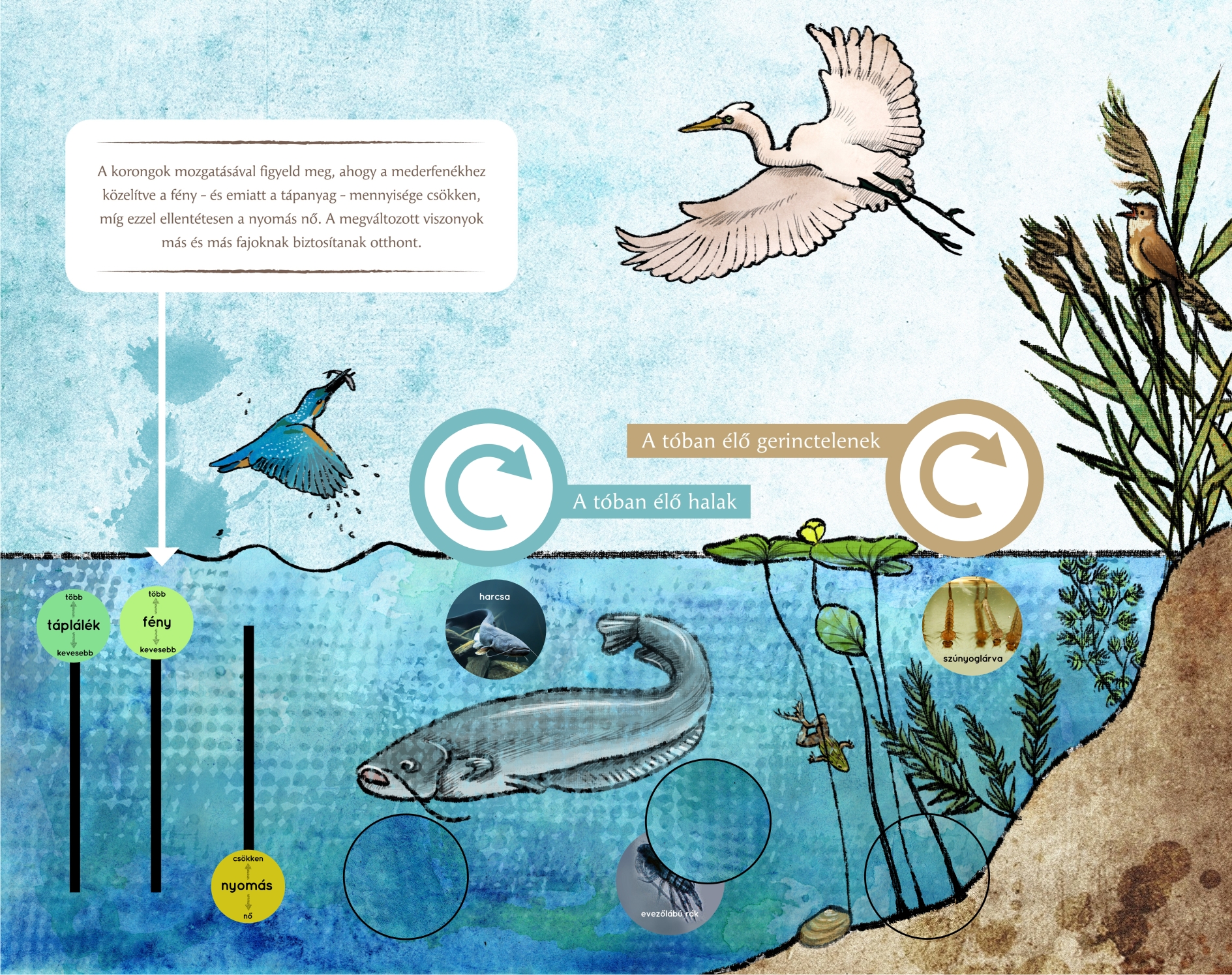 Tanösvénytáblák és játékok a Tolnai-hegyháton
