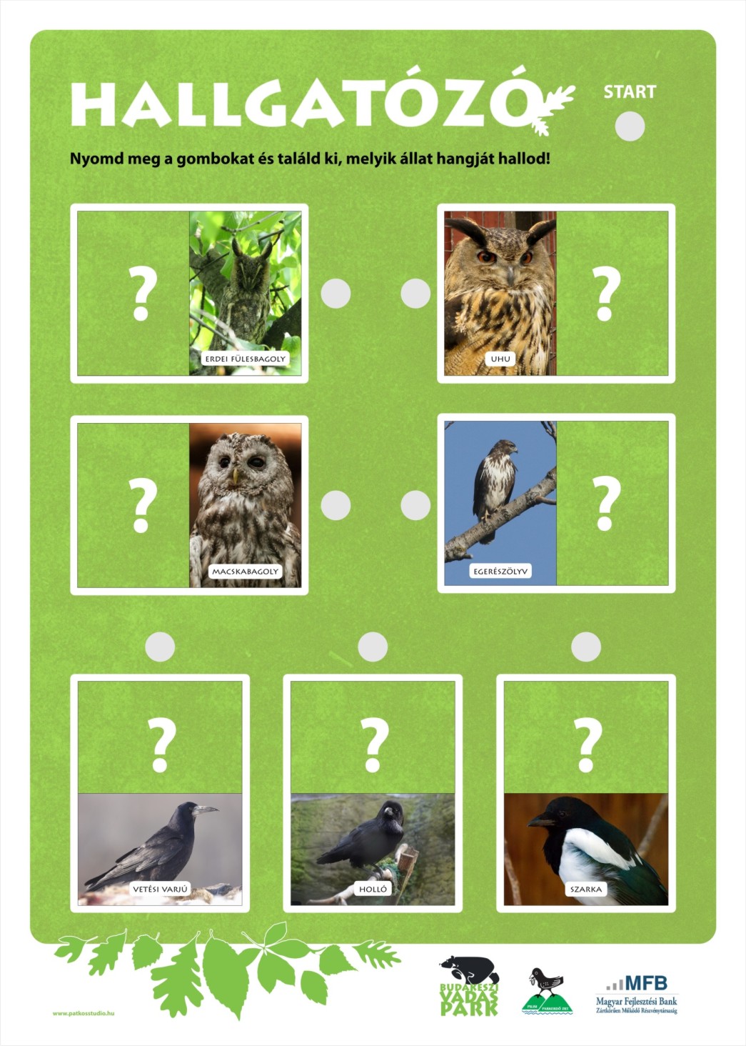 Élményösvény a Budakeszi Vadasparkban