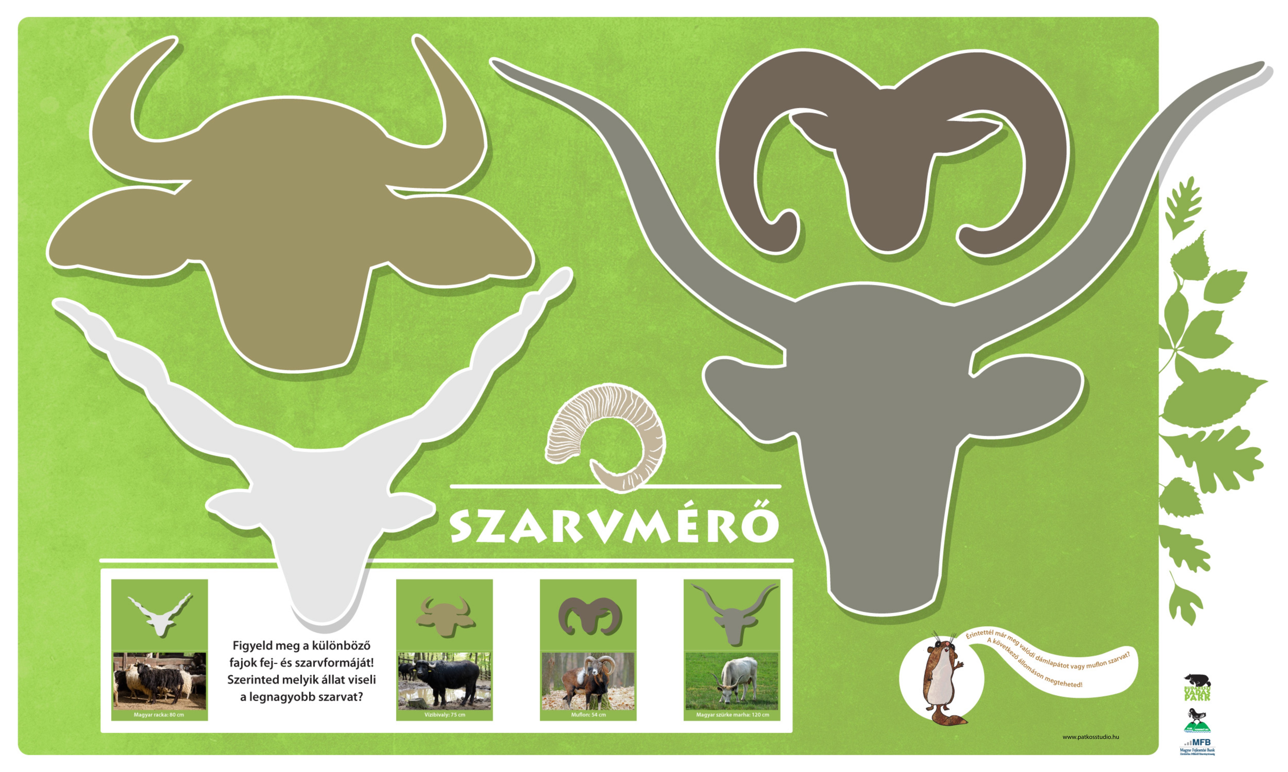 Élményösvény a Budakeszi Vadasparkban