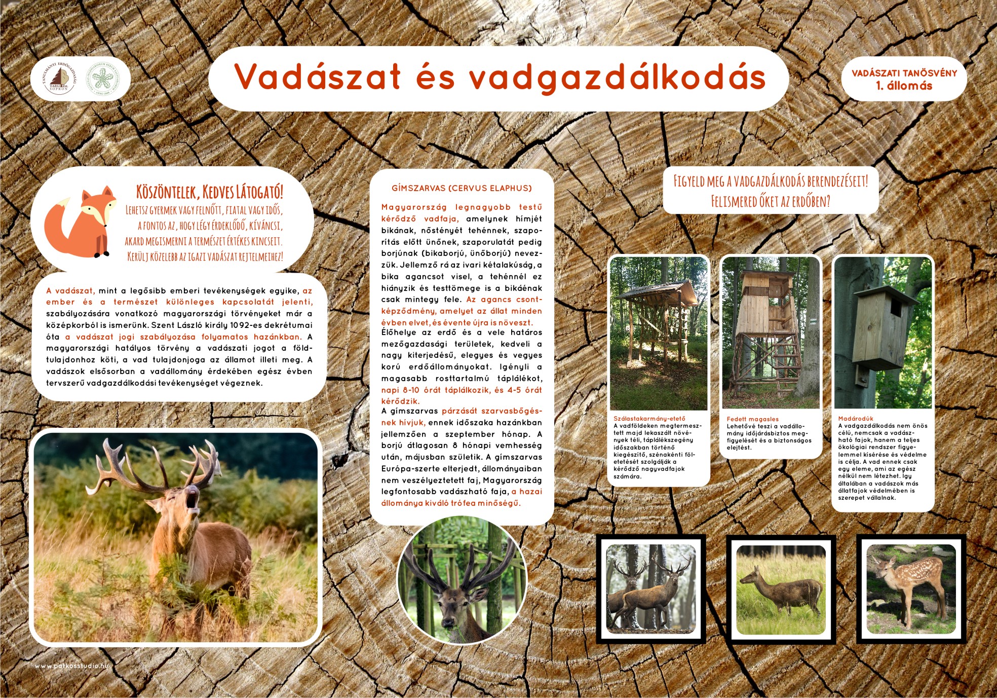 Vadászati tanösvény, Soproni-hegység