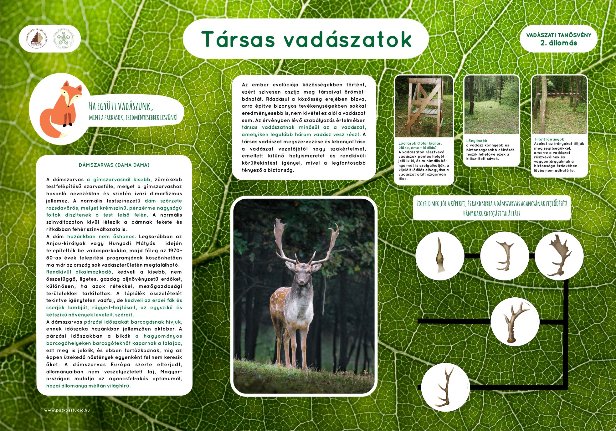 Vadászati tanösvény, Soproni-hegység