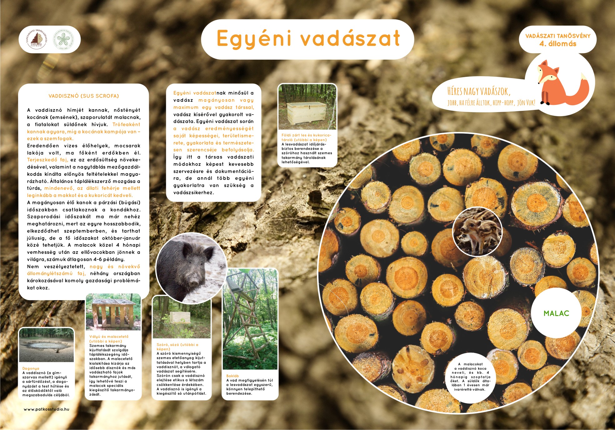 Vadászati tanösvény, Soproni-hegység