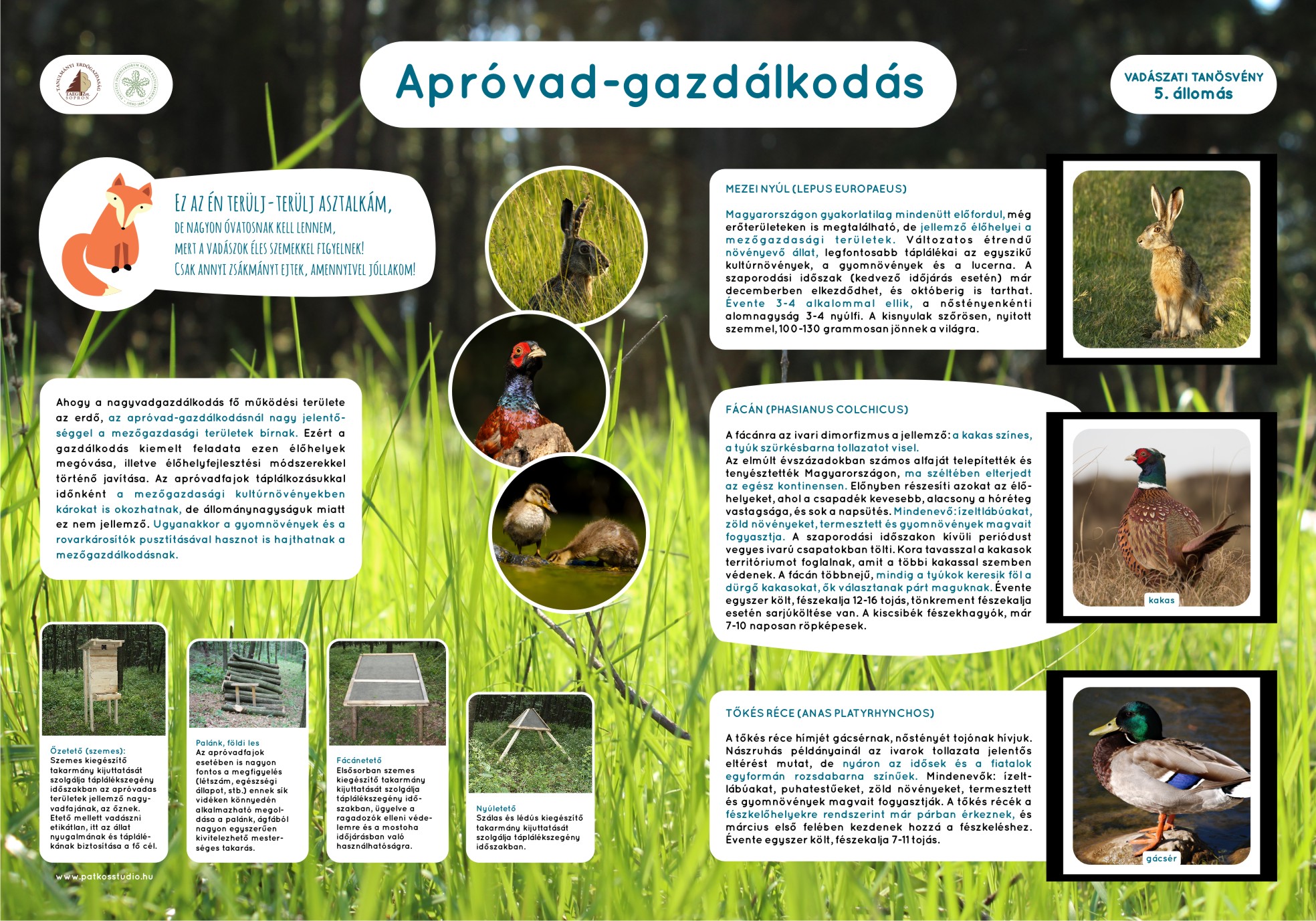 Vadászati tanösvény, Soproni-hegység