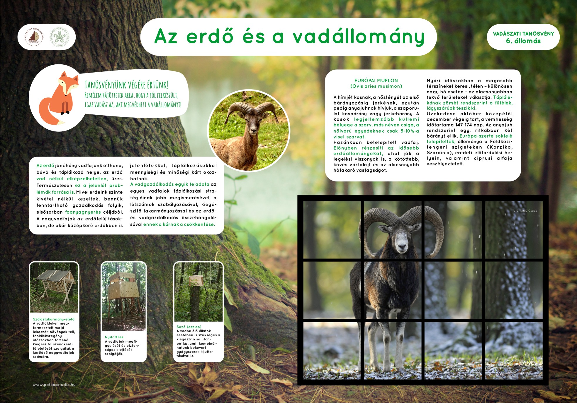 Vadászati tanösvény, Soproni-hegység