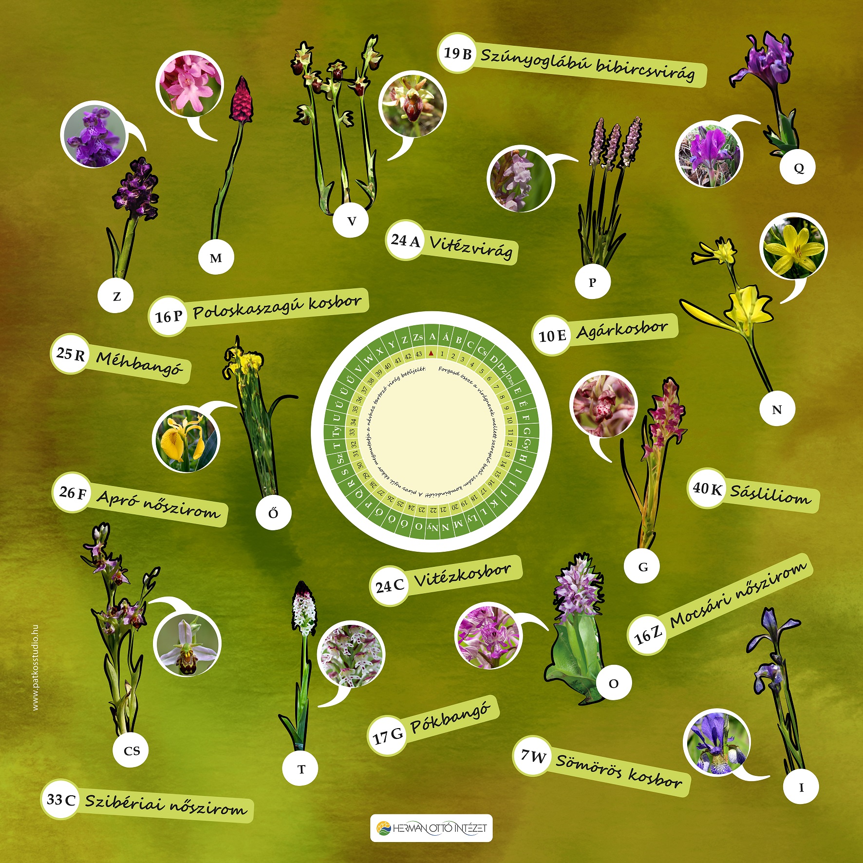 Herman Ottó családi sétaút