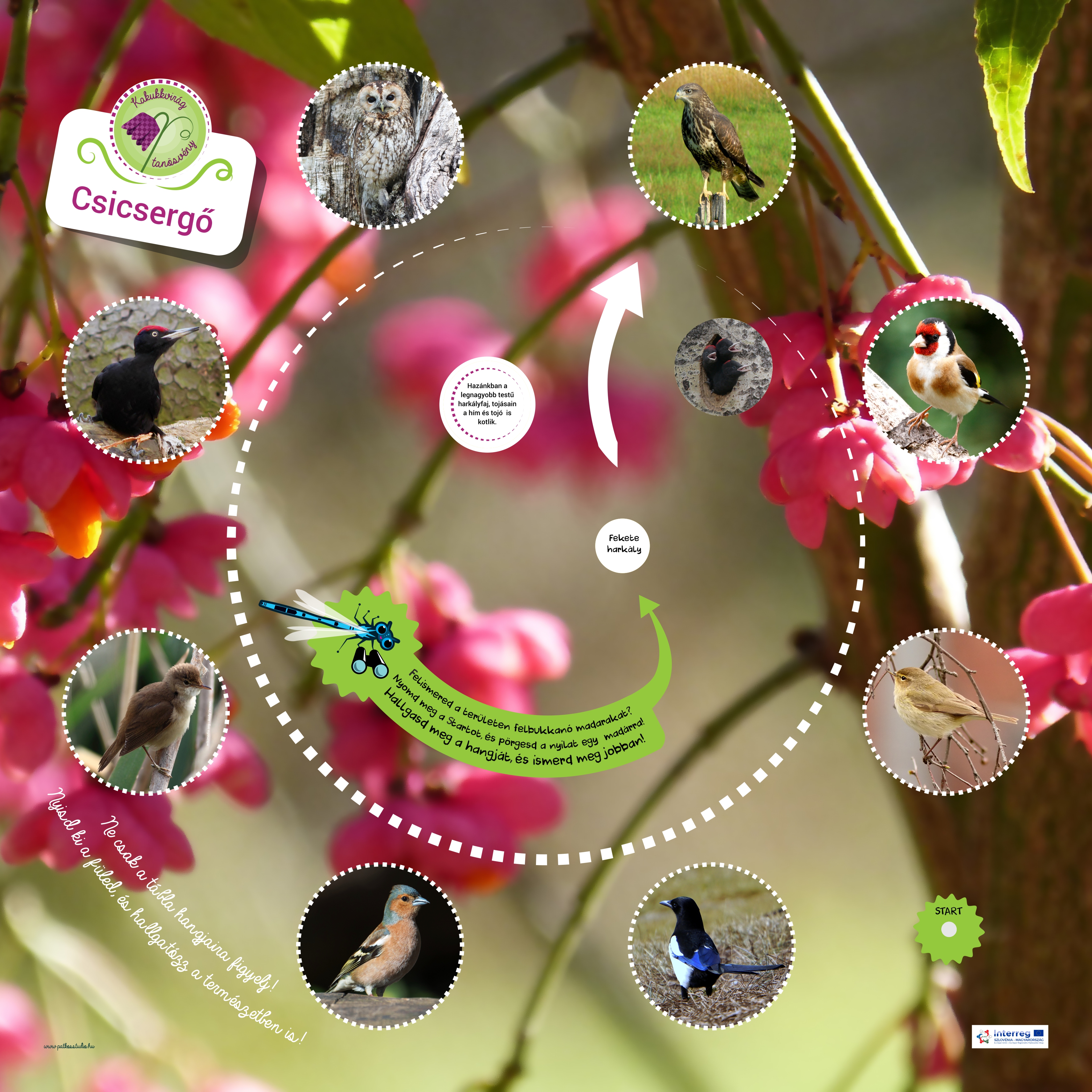 Kakukkvirág kaland-ösvény