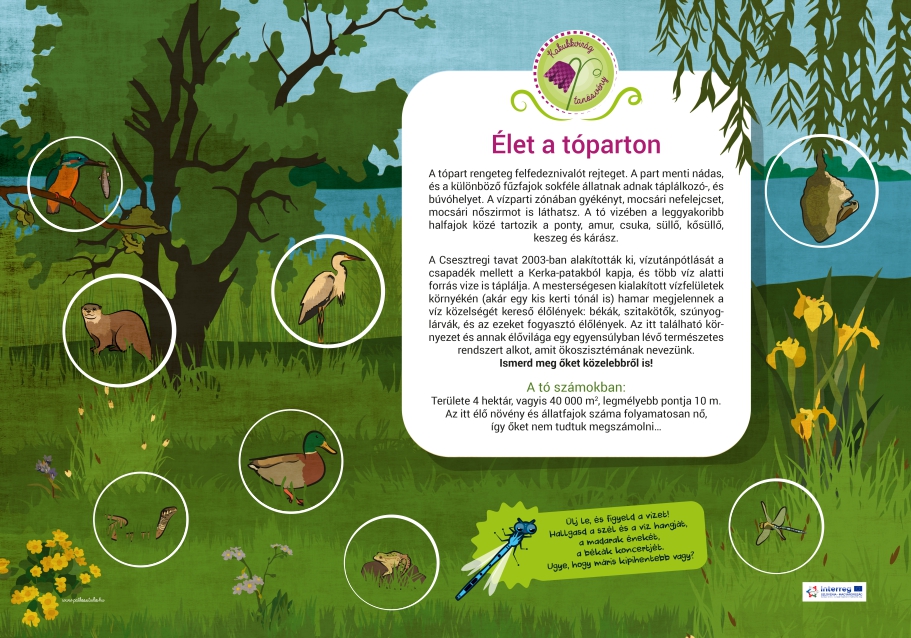 Kakukkvirág kaland-ösvény