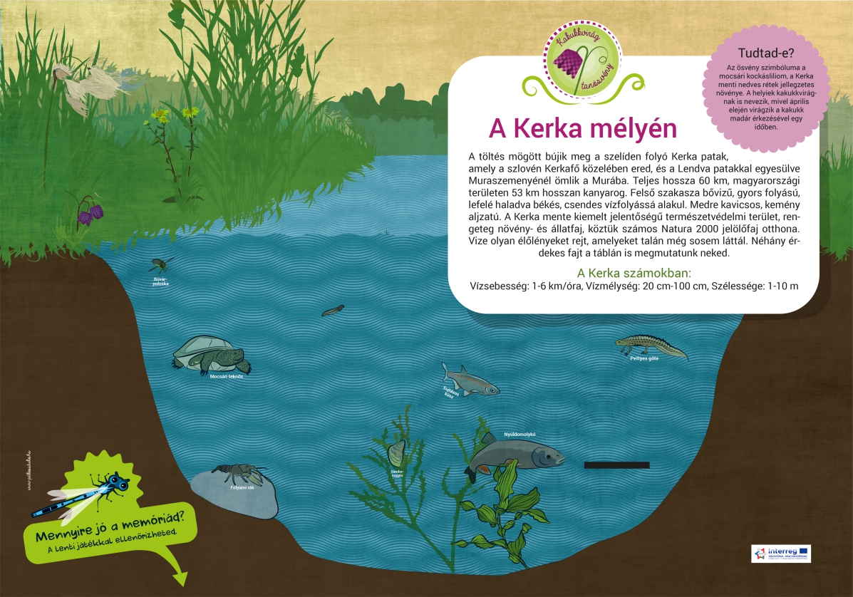 Kakukkvirág kaland-ösvény