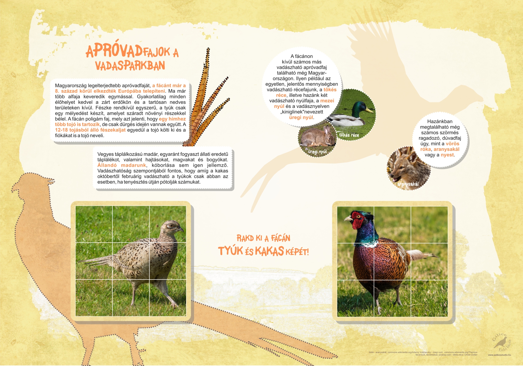 Interaktív tanösvény a Pákozd-Sukorói Arborétumban