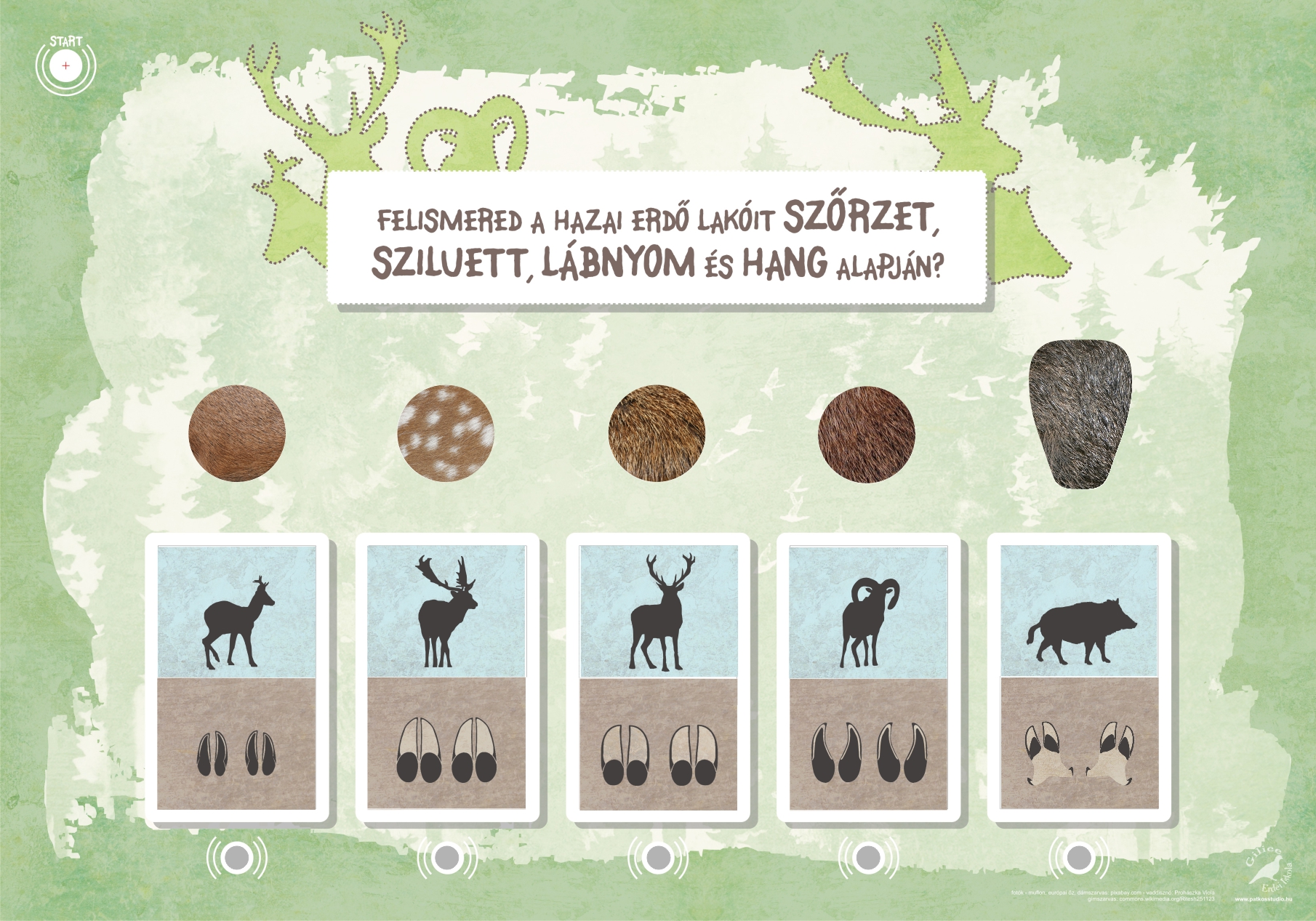 Interaktív tanösvény a Pákozd-Sukorói Arborétumban