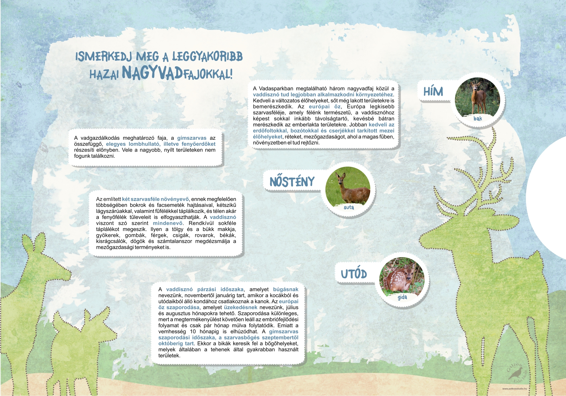 Interaktív tanösvény a Pákozd-Sukorói Arborétumban