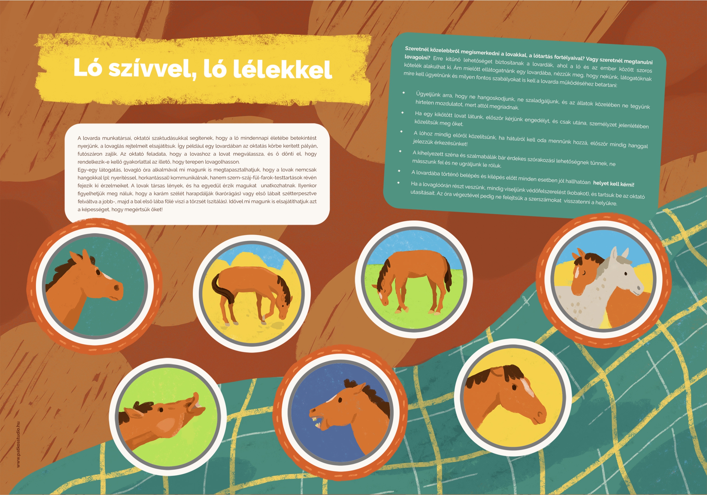 Lovas tanösvény, Fót