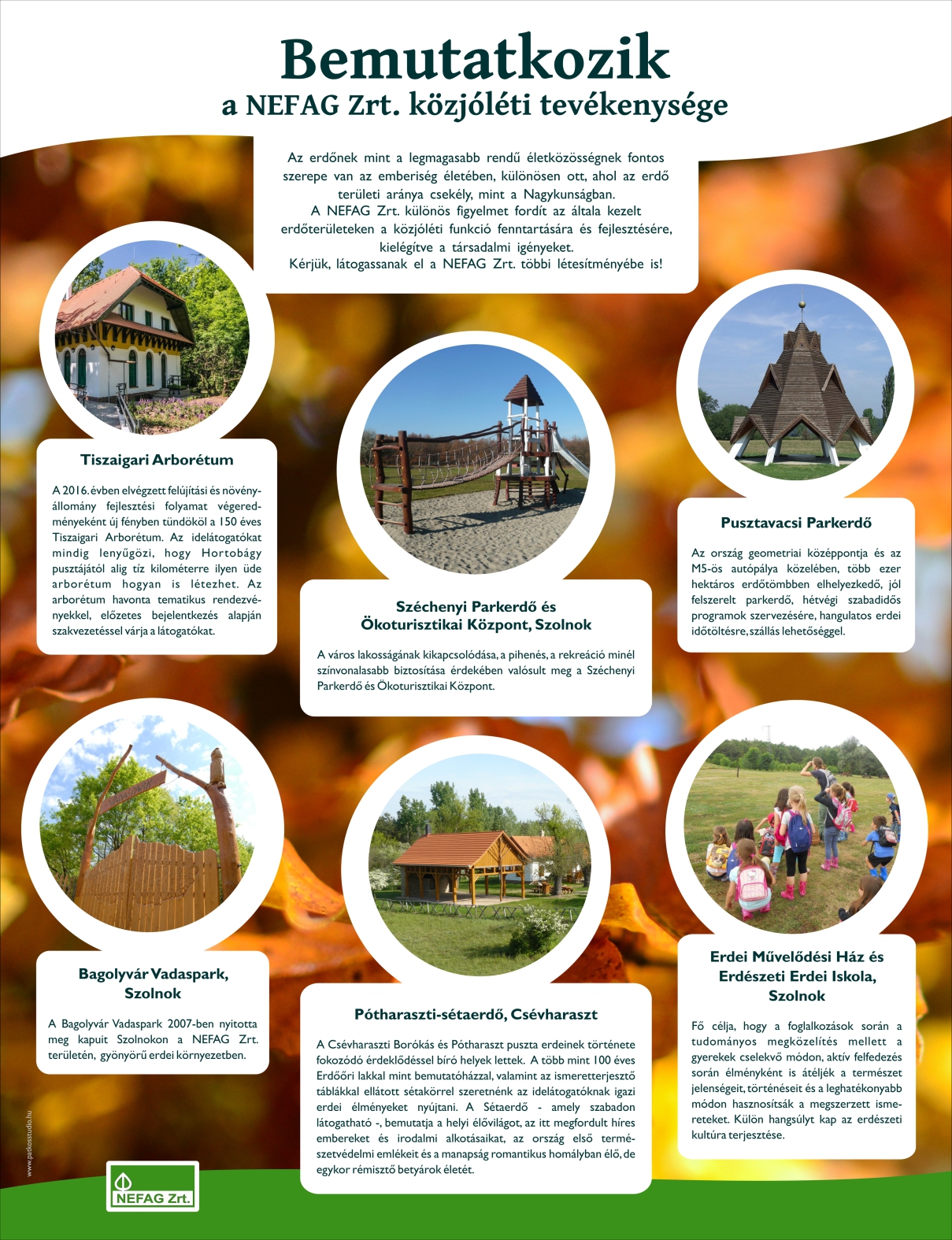 Lombkorona ösvény, Karcag