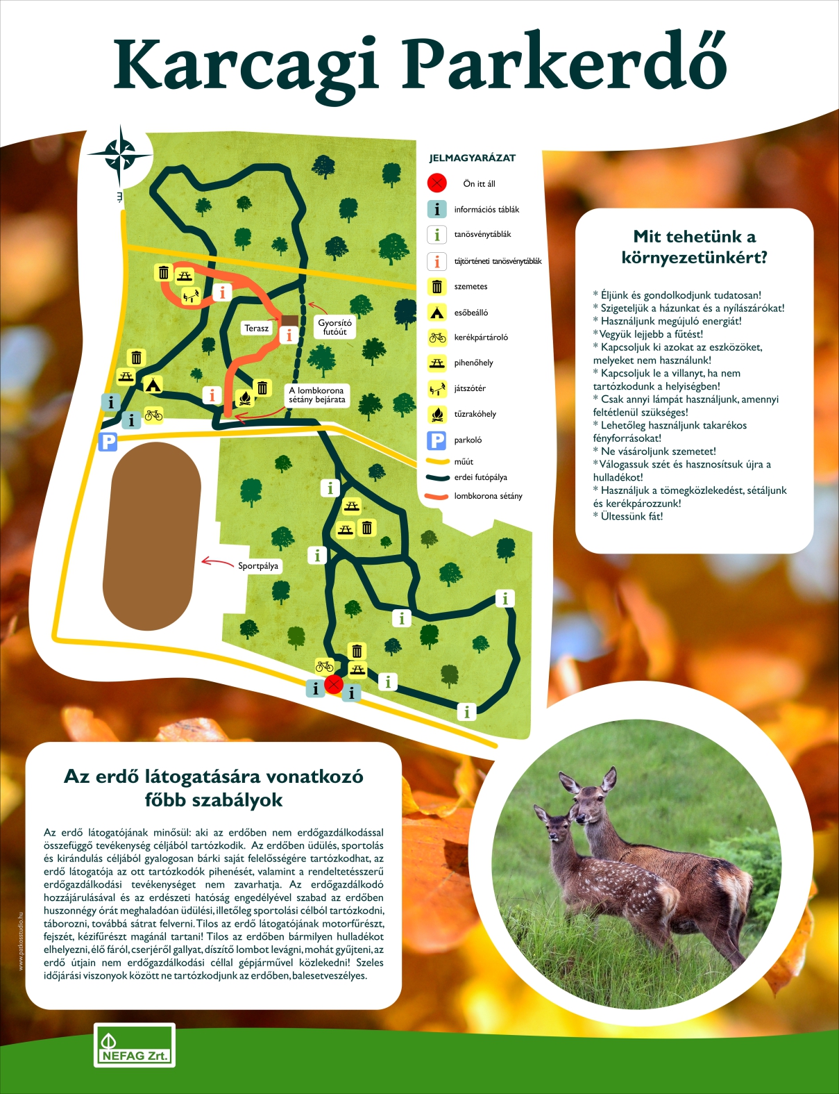 Lombkorona ösvény, Karcag