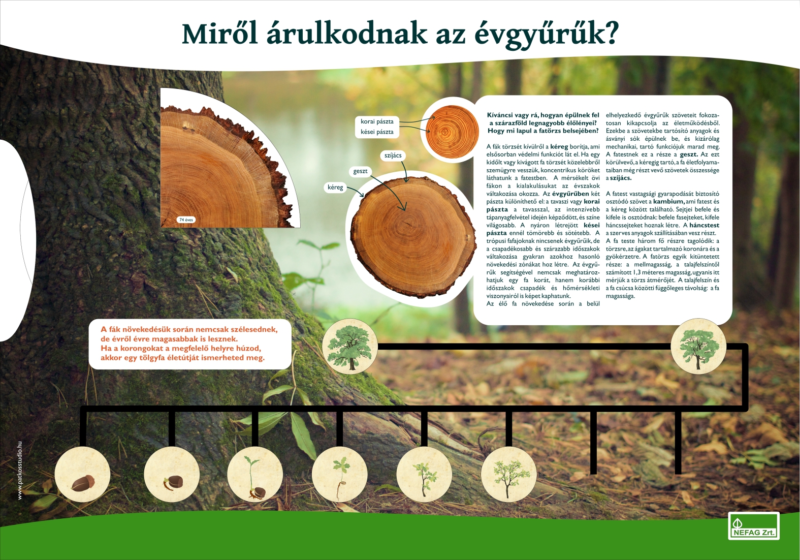 Lombkorona ösvény, Karcag