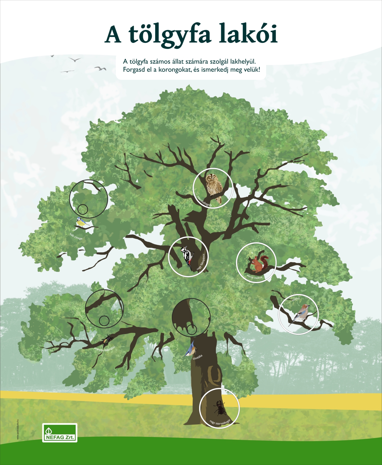 Lombkorona ösvény, Karcag