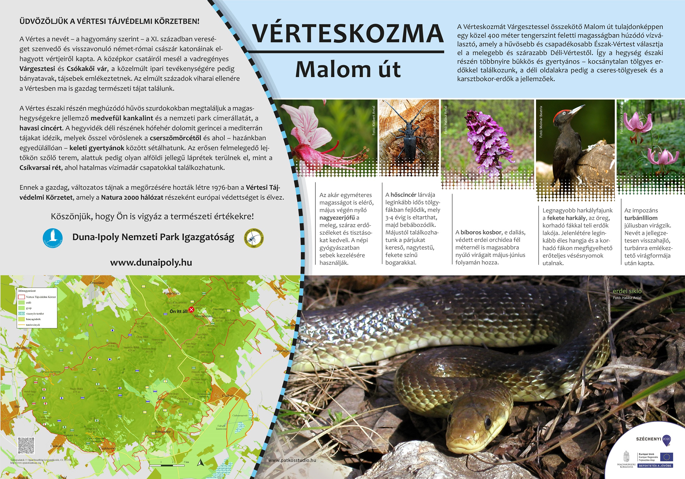 Tanösvénytáblák a Vértesben (Duna-Ipoly Nemzeti Park)