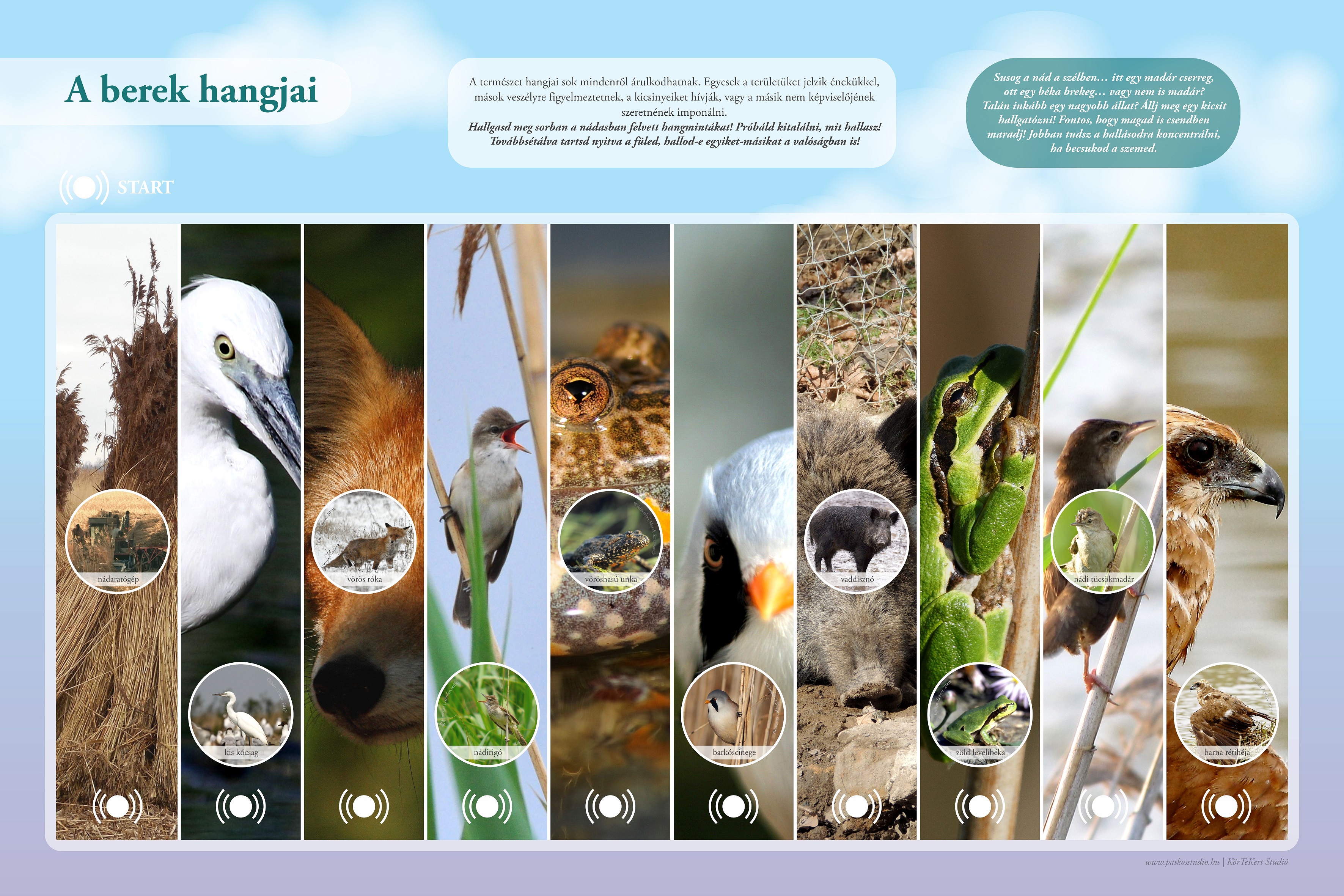 Sóstói tanösvény - Székesfehérvár, Sóstó