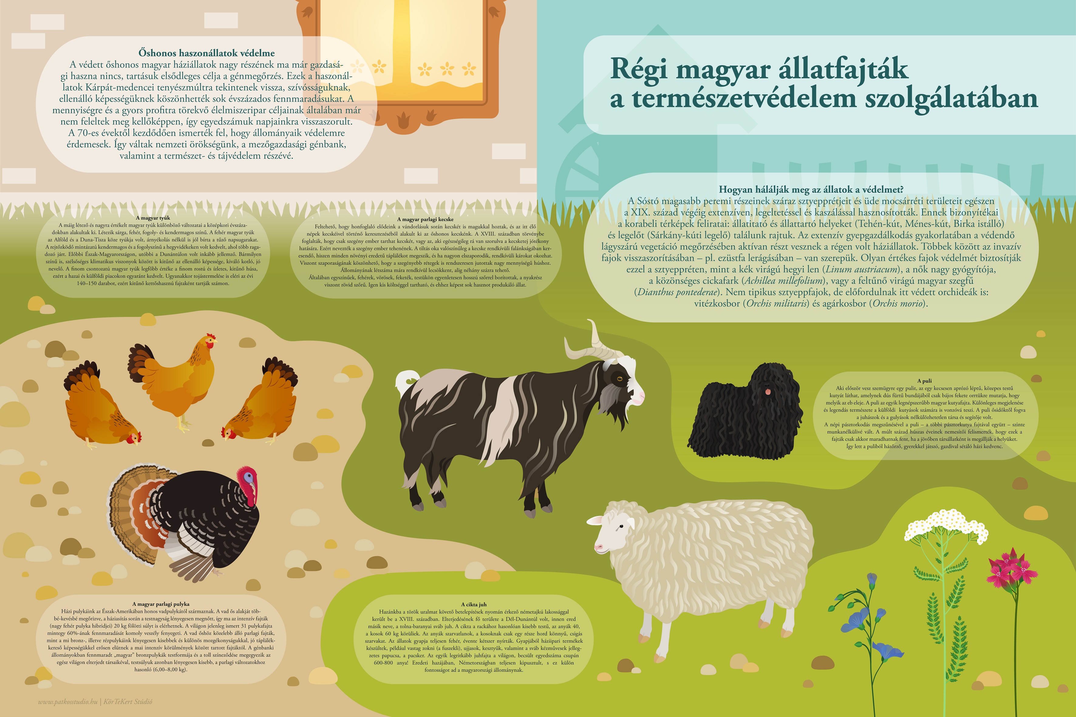 Sóstói tanösvény - Székesfehérvár, Sóstó