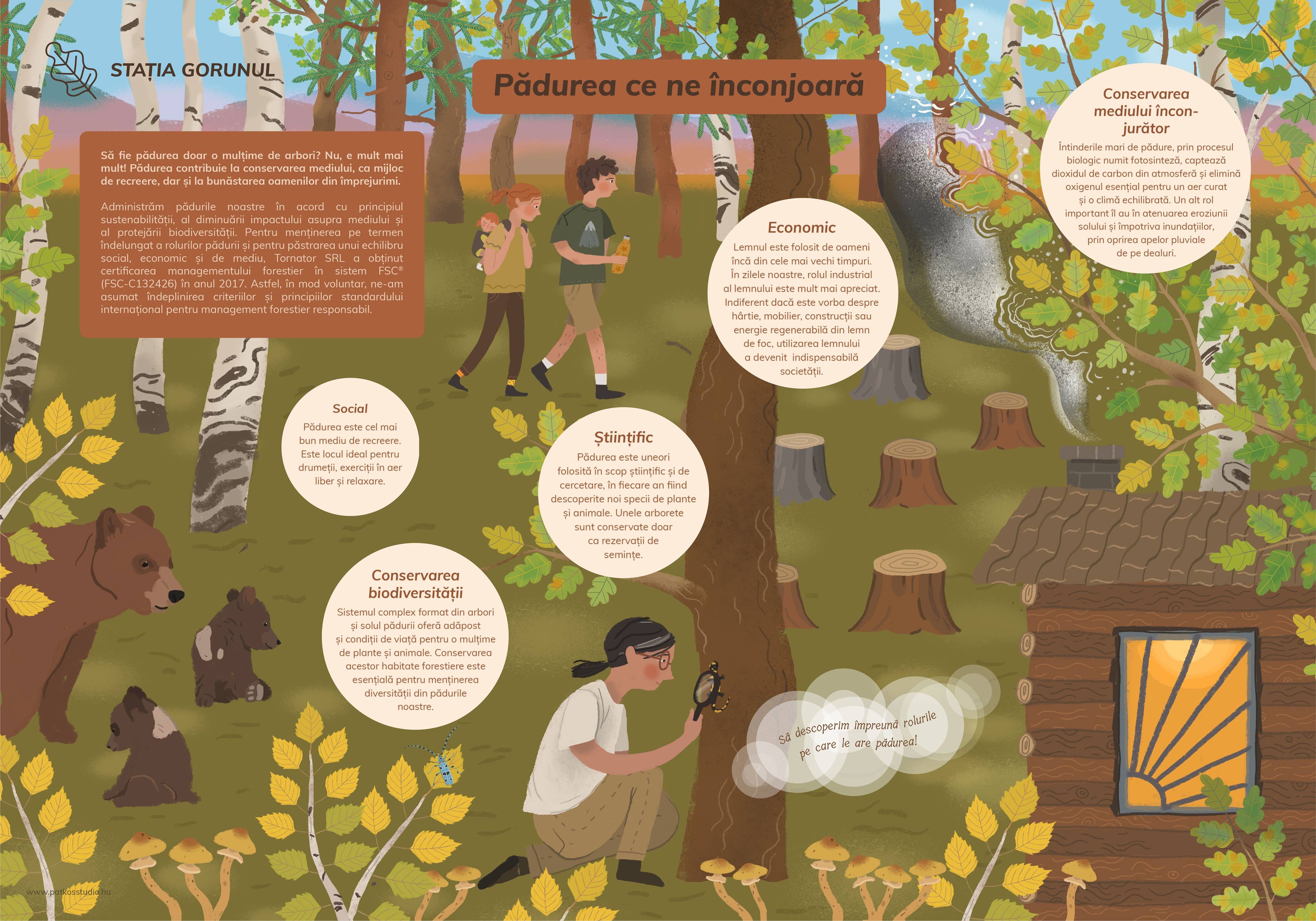 Szalamandra Tanösvény, Kislesenc-völgy, Románia