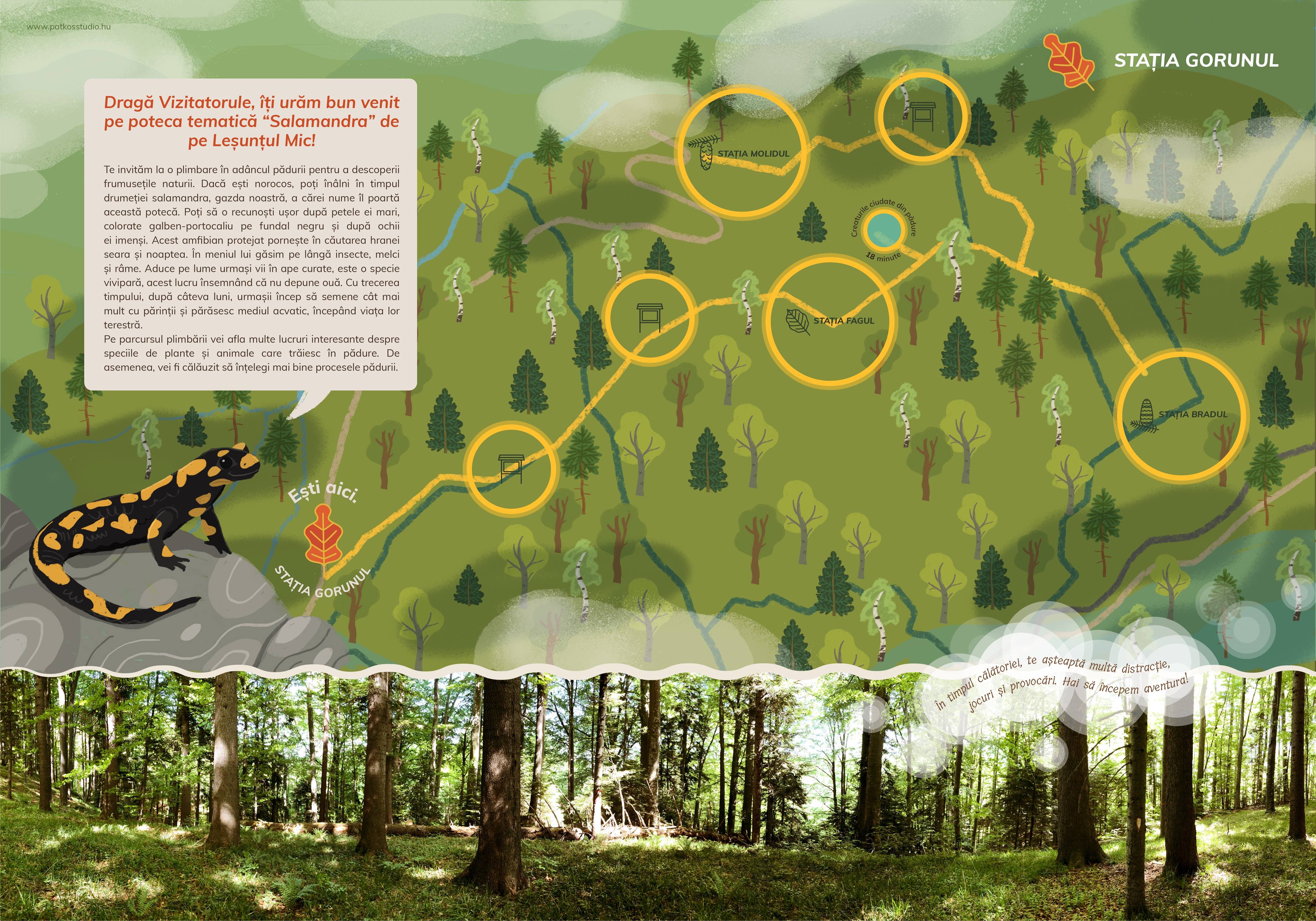 Szalamandra Tanösvény, Kislesenc-völgy, Románia