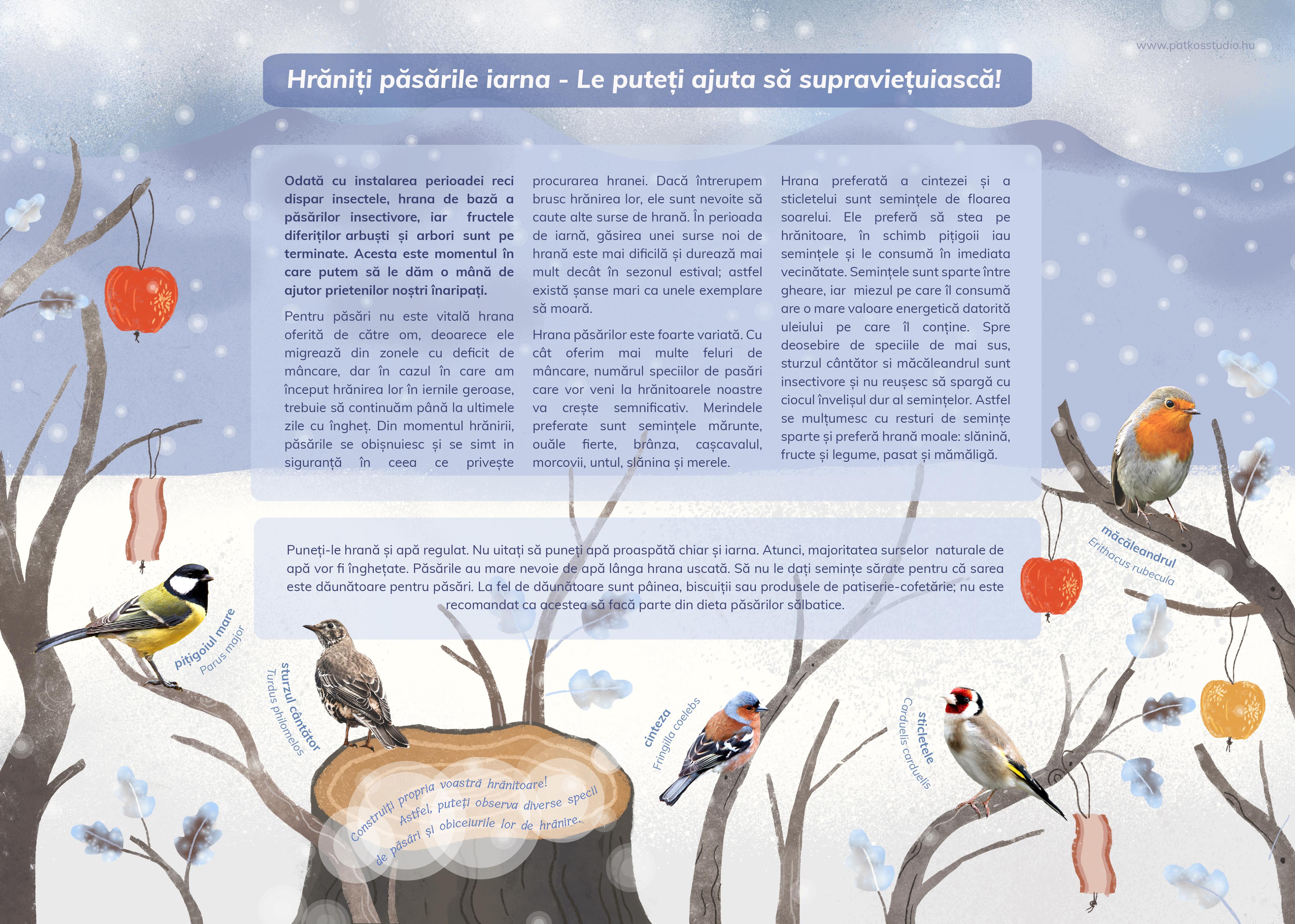 Szalamandra Tanösvény, Kislesenc-völgy, Románia