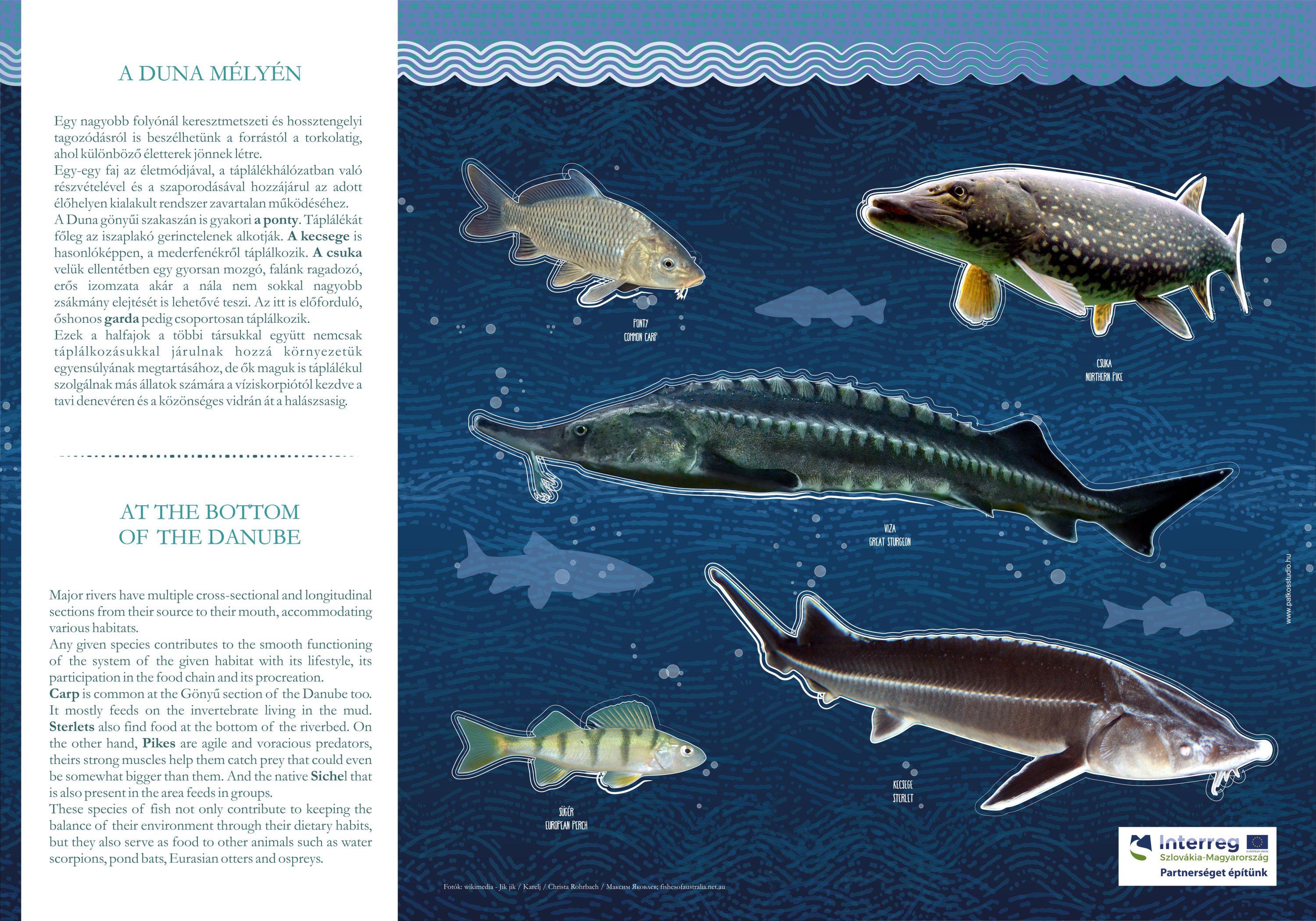 Duna Panoráma tanösvény - Gönyű