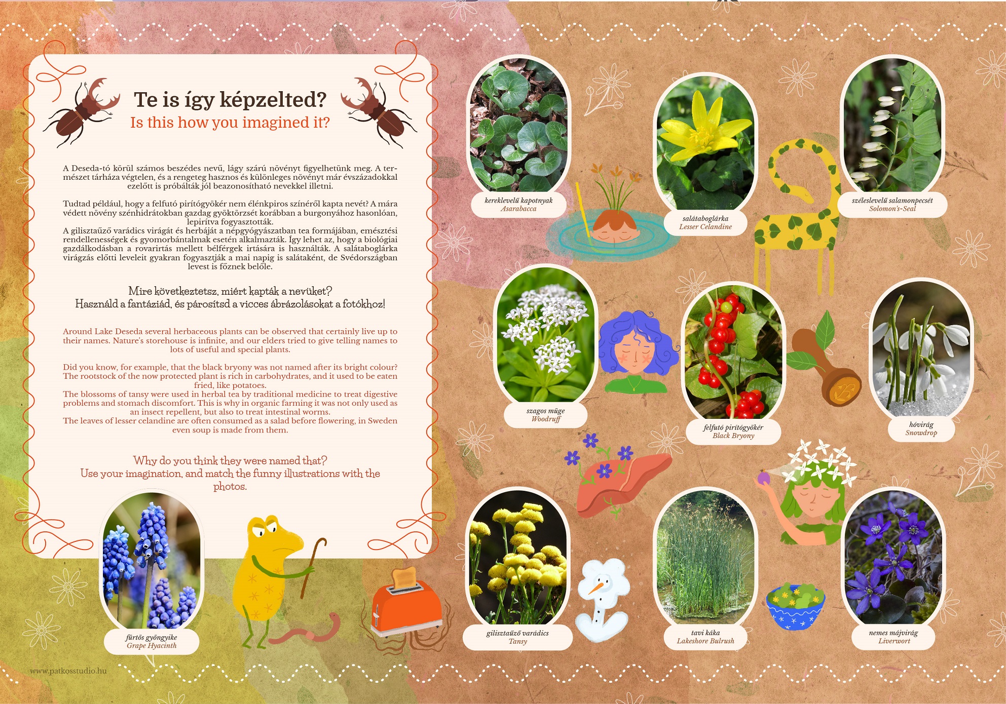 Deseda Túrakenu Útvonal