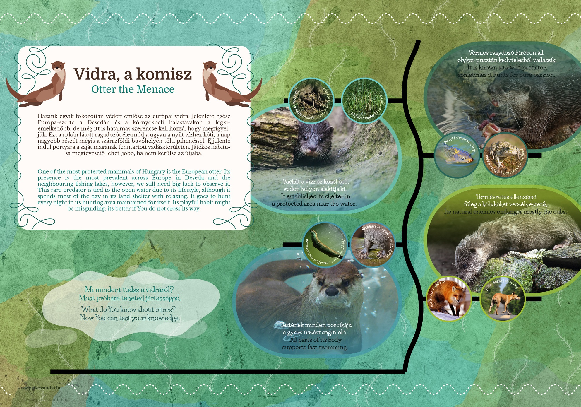 Deseda Túrakenu Útvonal