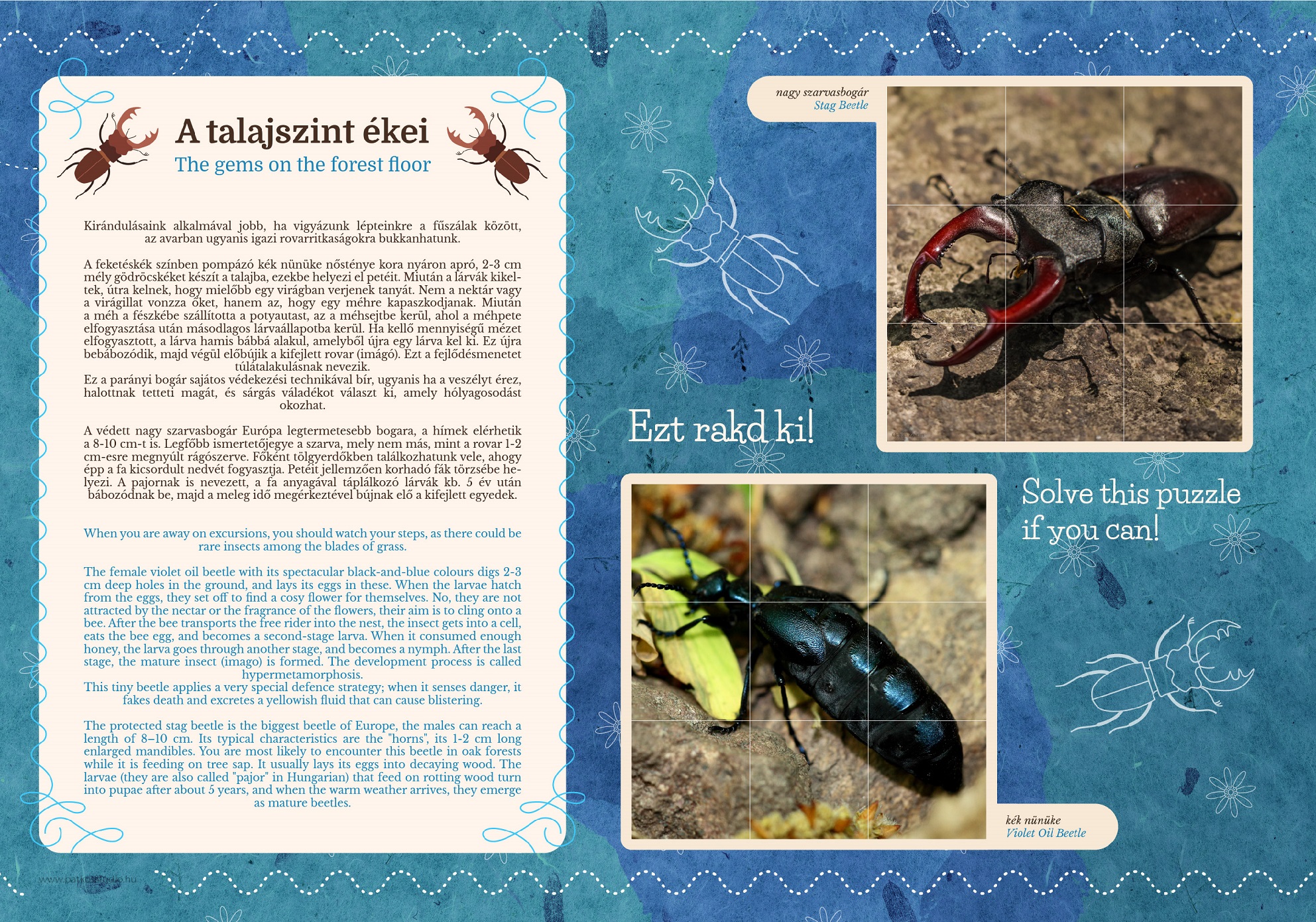 Deseda Túrakenu Útvonal