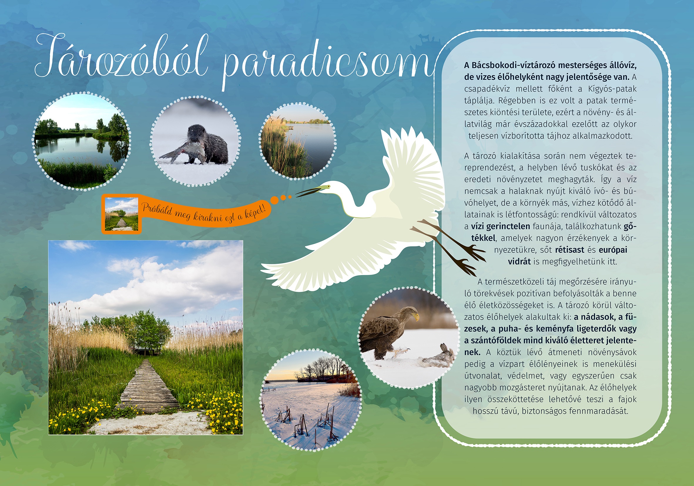 Bácsbokodi Kígyózó tanösvény, Bácsbokod