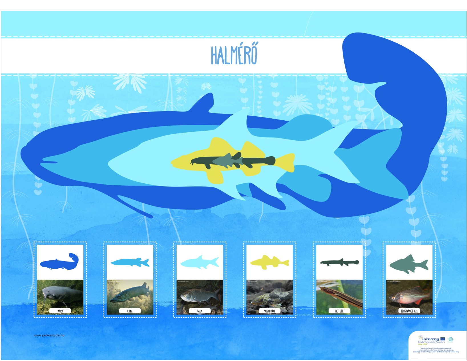 Mura-menti tanösvény, Molnári