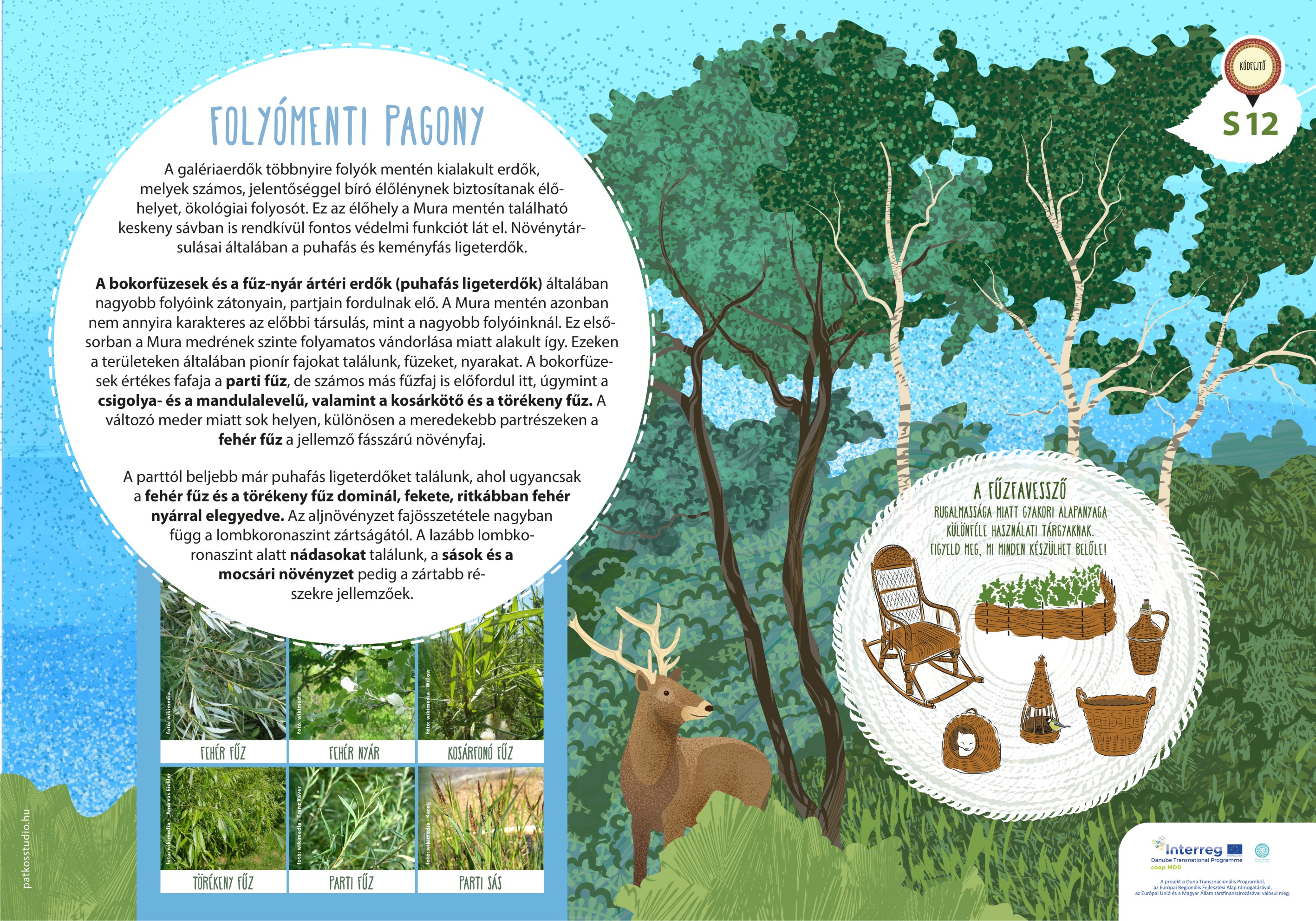 Mura-menti tanösvény, Molnári