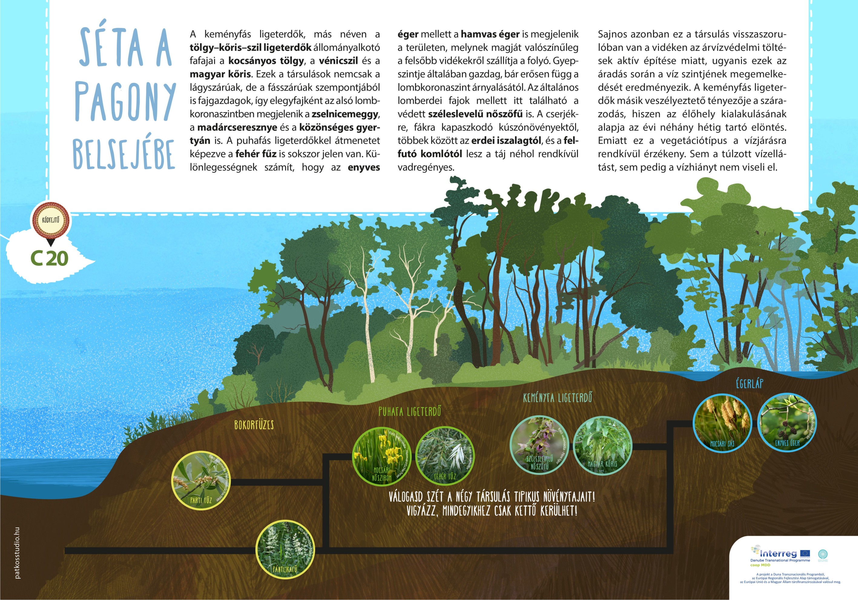 Mura-menti tanösvény, Molnári