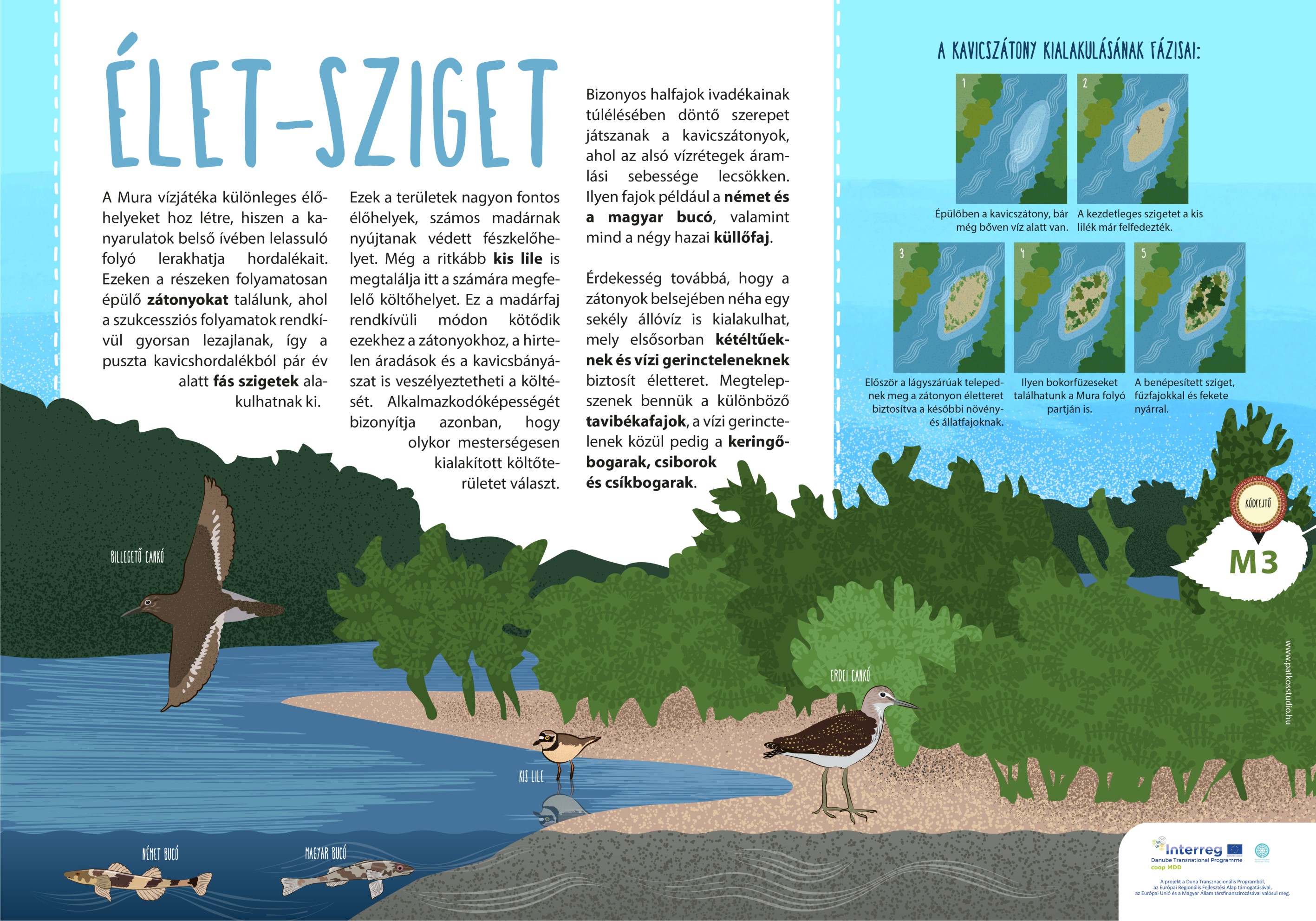 Mura-menti tanösvény, Molnári