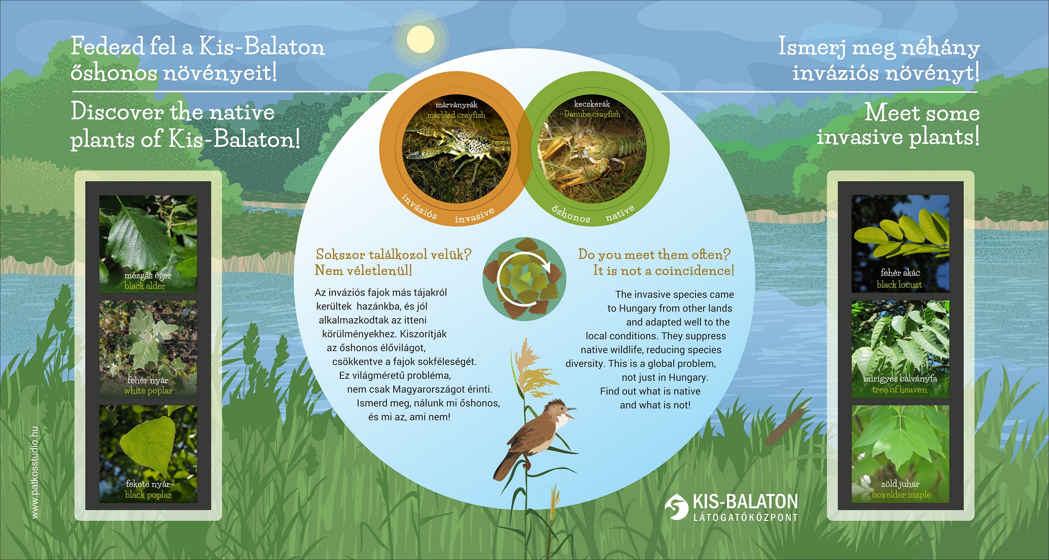 Tetőkerti sétáló tanösvény – Kis-Balaton Látogatóközpont, Keszthely / Fenékpuszta