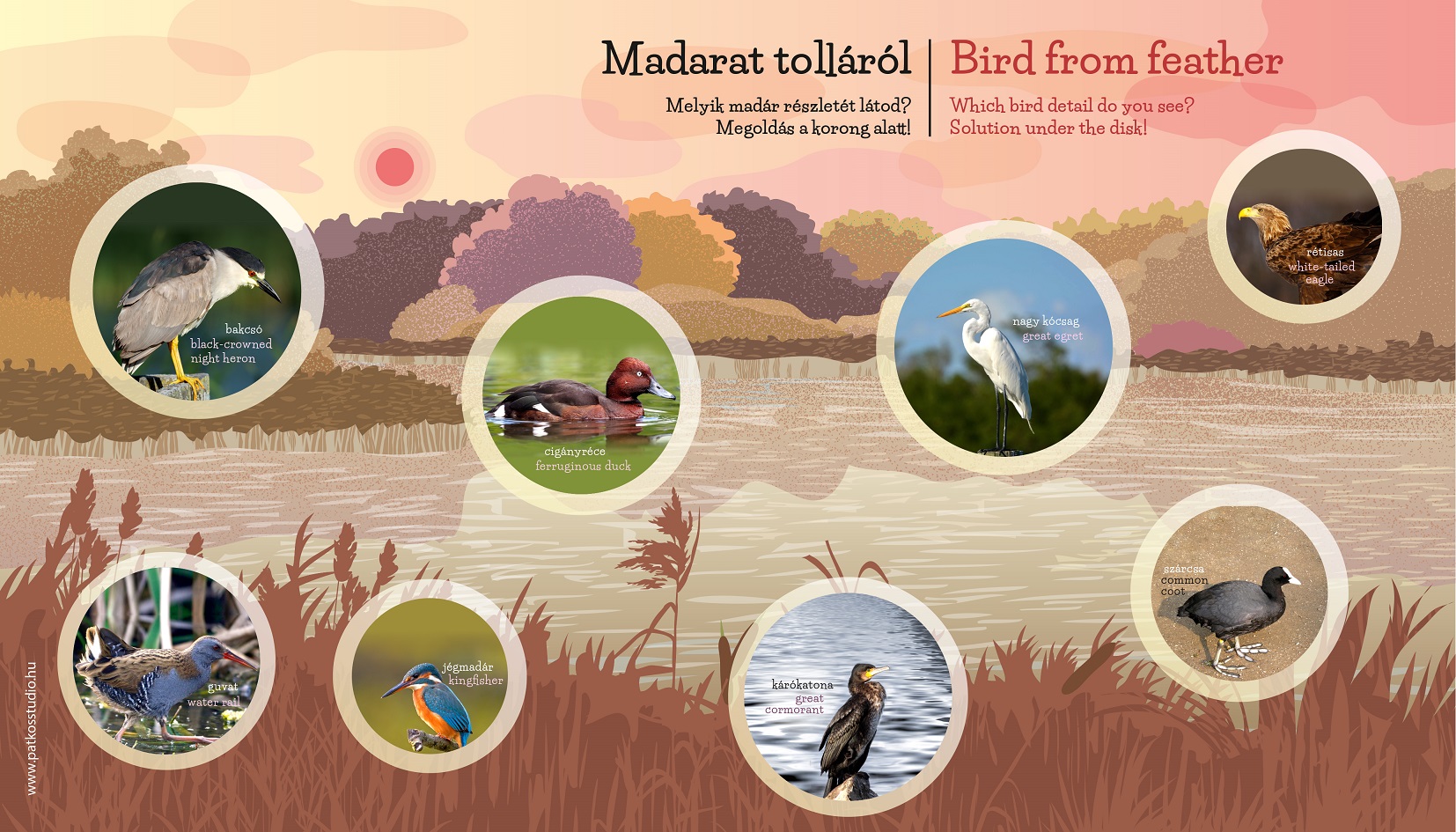 Tetőkerti sétáló tanösvény – Kis-Balaton Látogatóközpont, Keszthely / Fenékpuszta