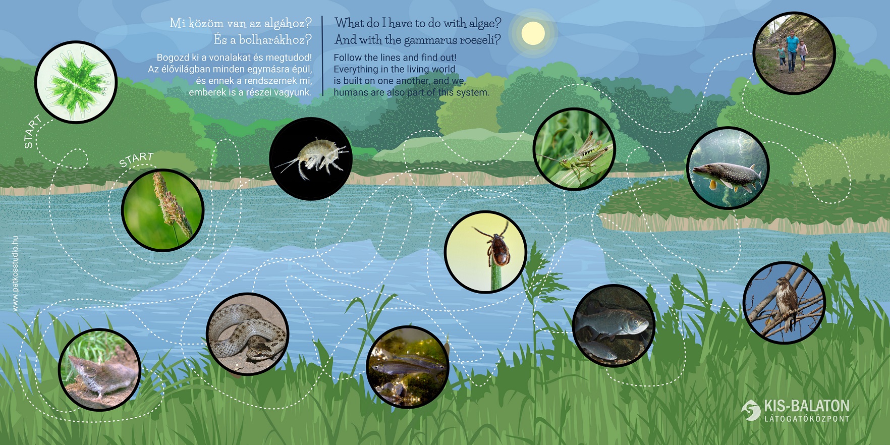 Tetőkerti sétáló tanösvény – Kis-Balaton Látogatóközpont, Keszthely / Fenékpuszta