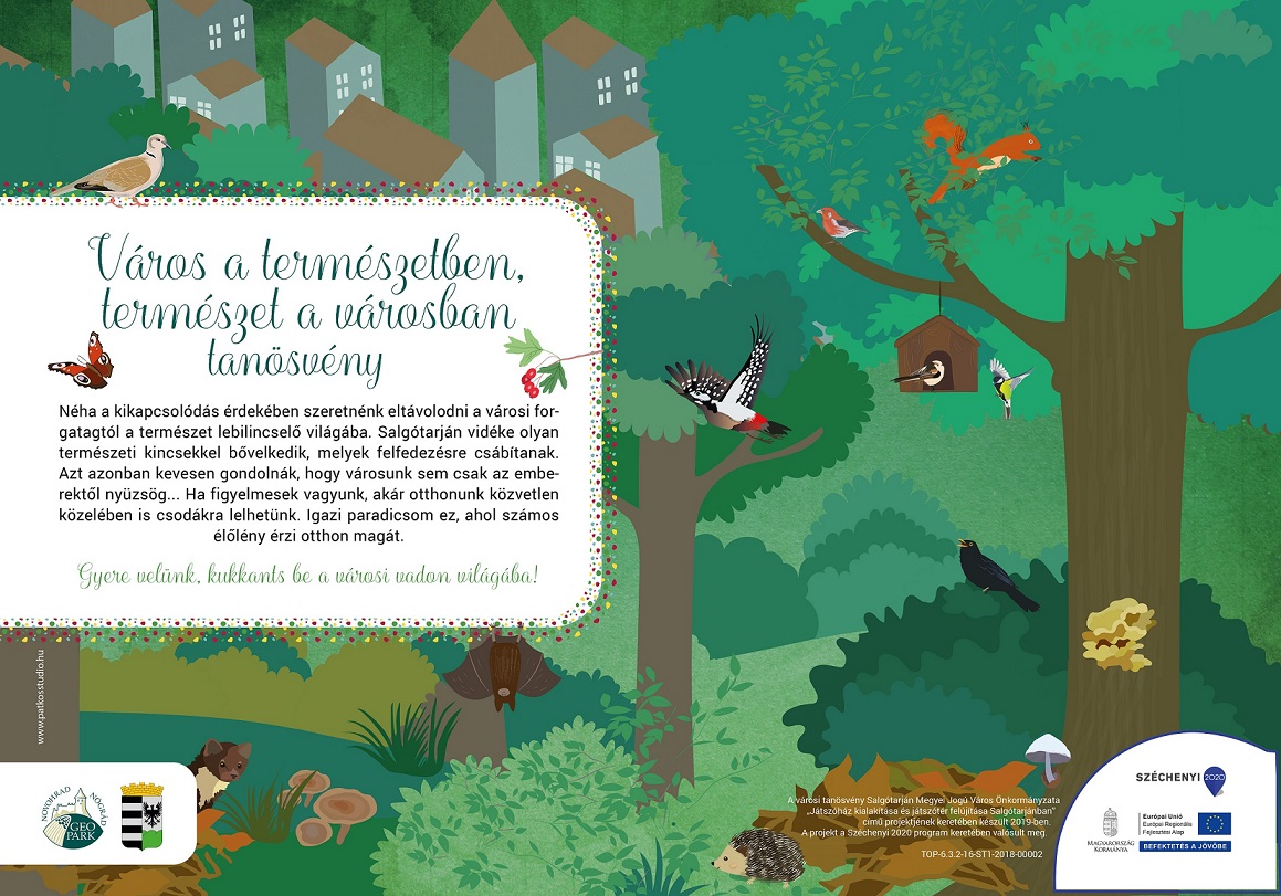 Interaktív tanösvény, Salgótarján