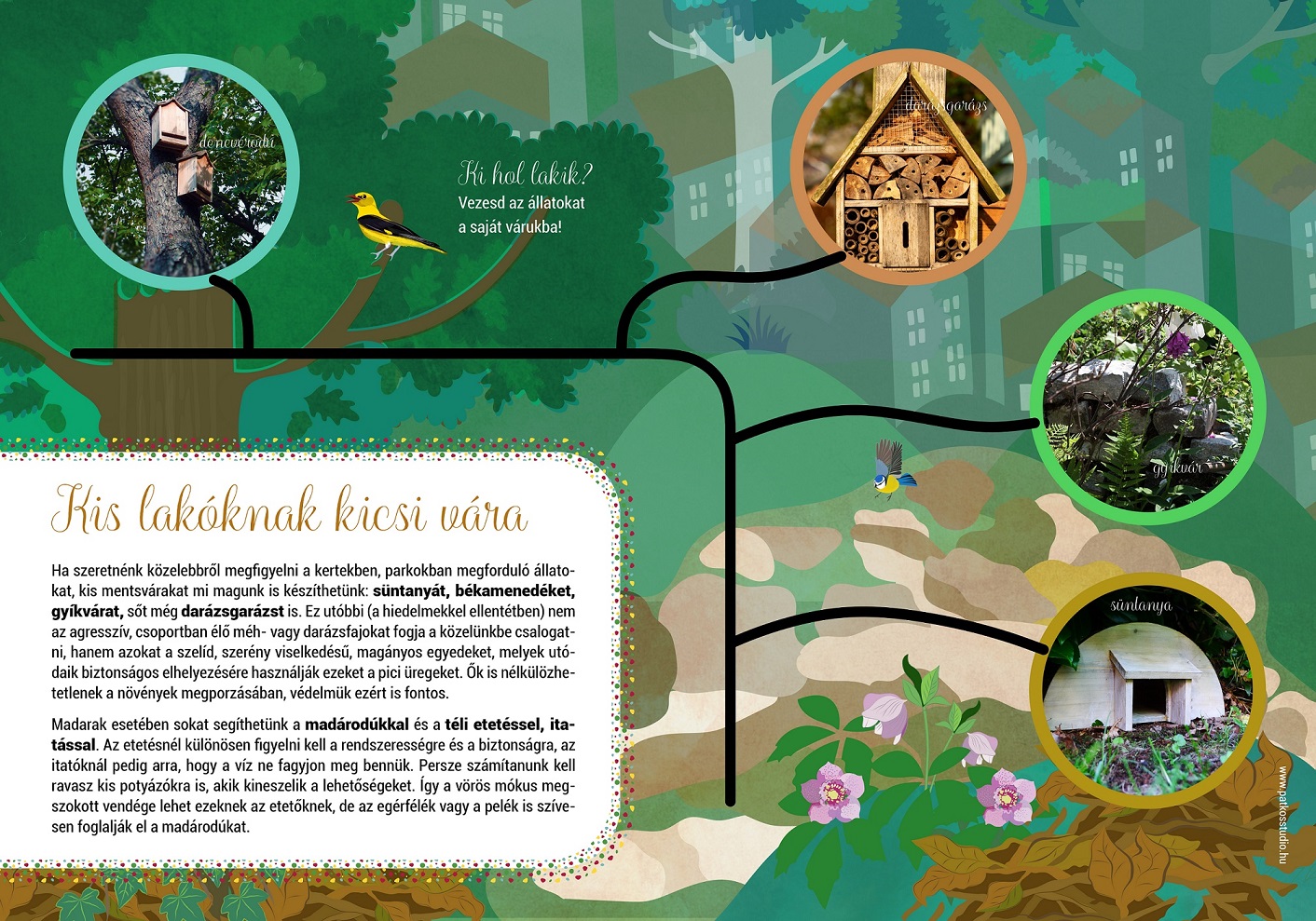 Interaktív tanösvény, Salgótarján