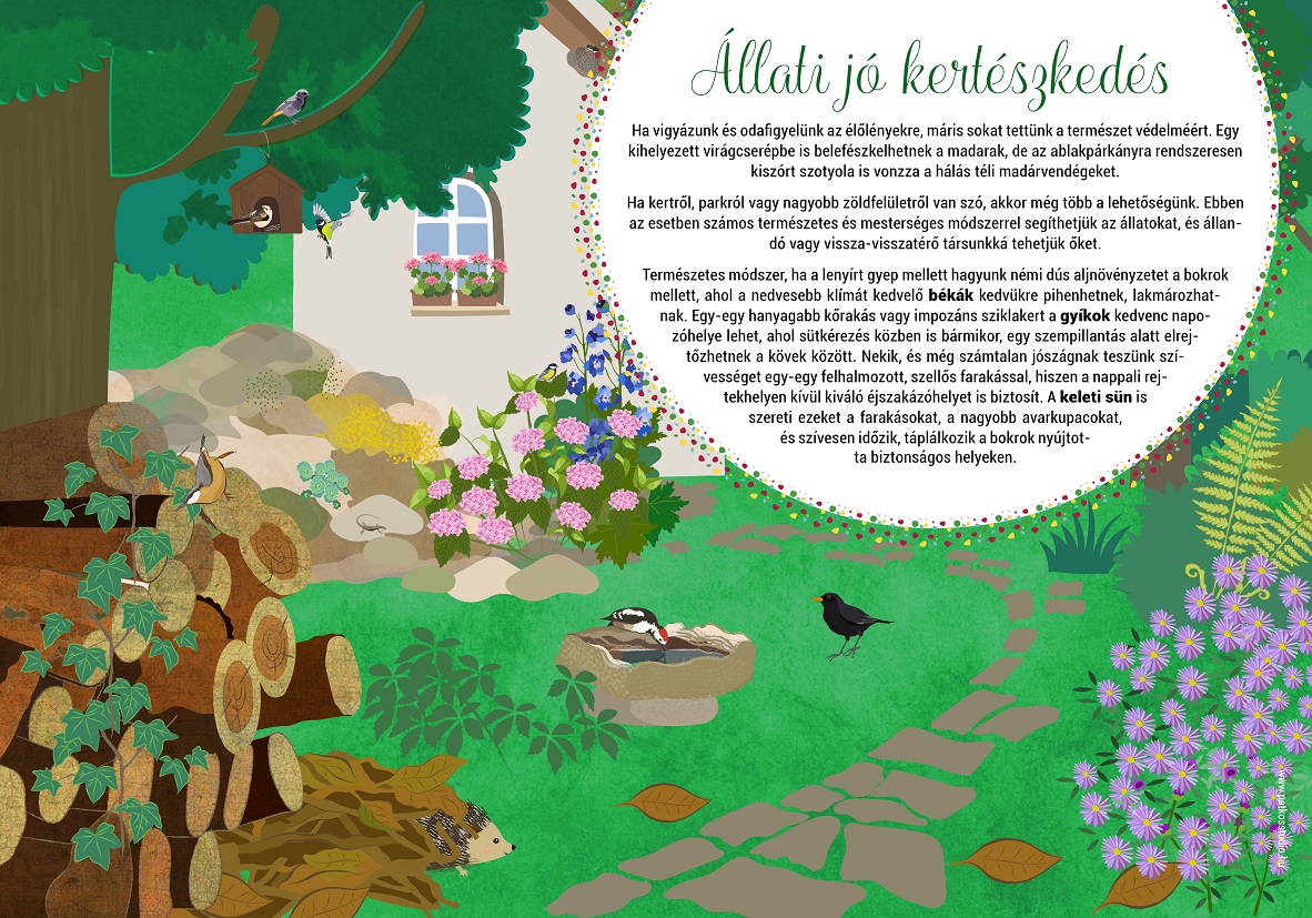 Interaktív tanösvény, Salgótarján