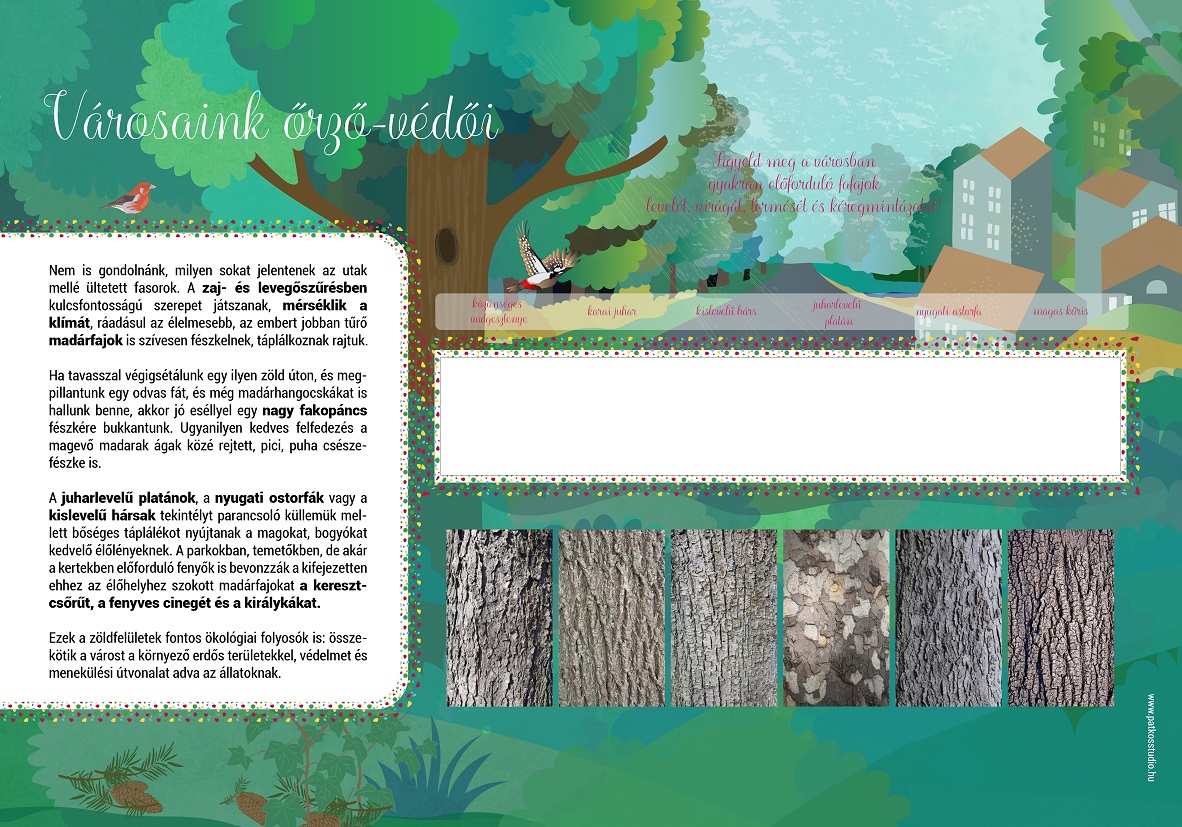 Interaktív tanösvény, Salgótarján