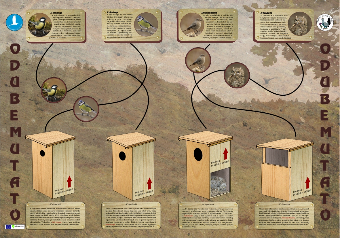 Rezgő nyár és Sárgaliliom tanösvény felújítása az Őrségben