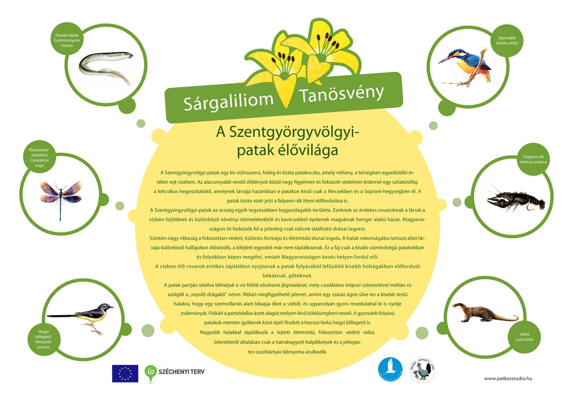Rezgő nyár és Sárgaliliom tanösvény felújítása az Őrségben
