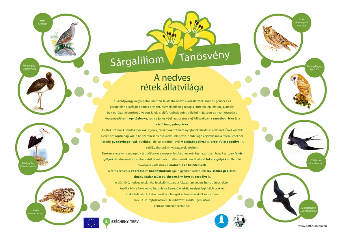 Rezgő nyár és Sárgaliliom tanösvény felújítása az Őrségben